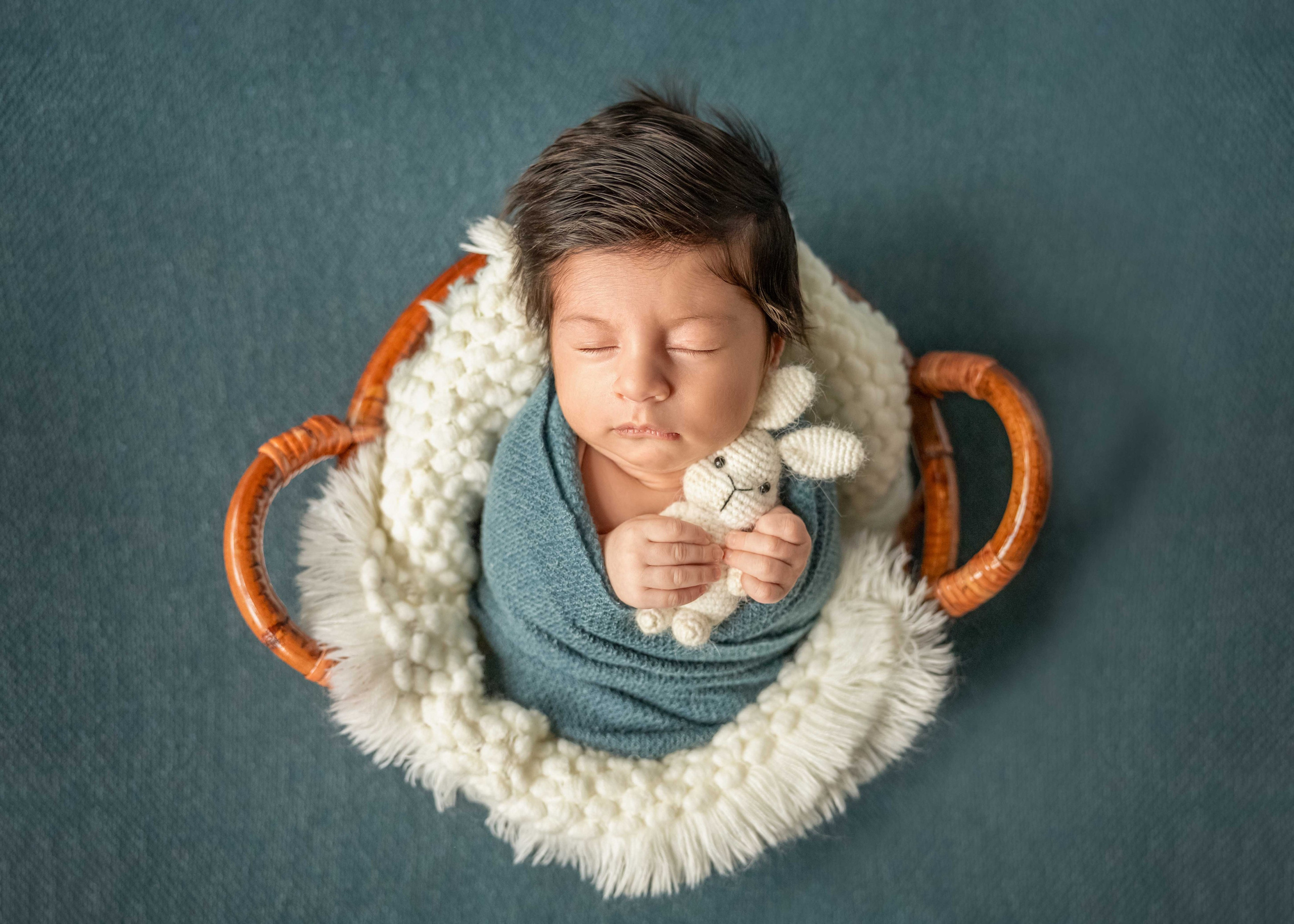 Newborn photos. Newborn photographer in Tampa Bay Area, FL