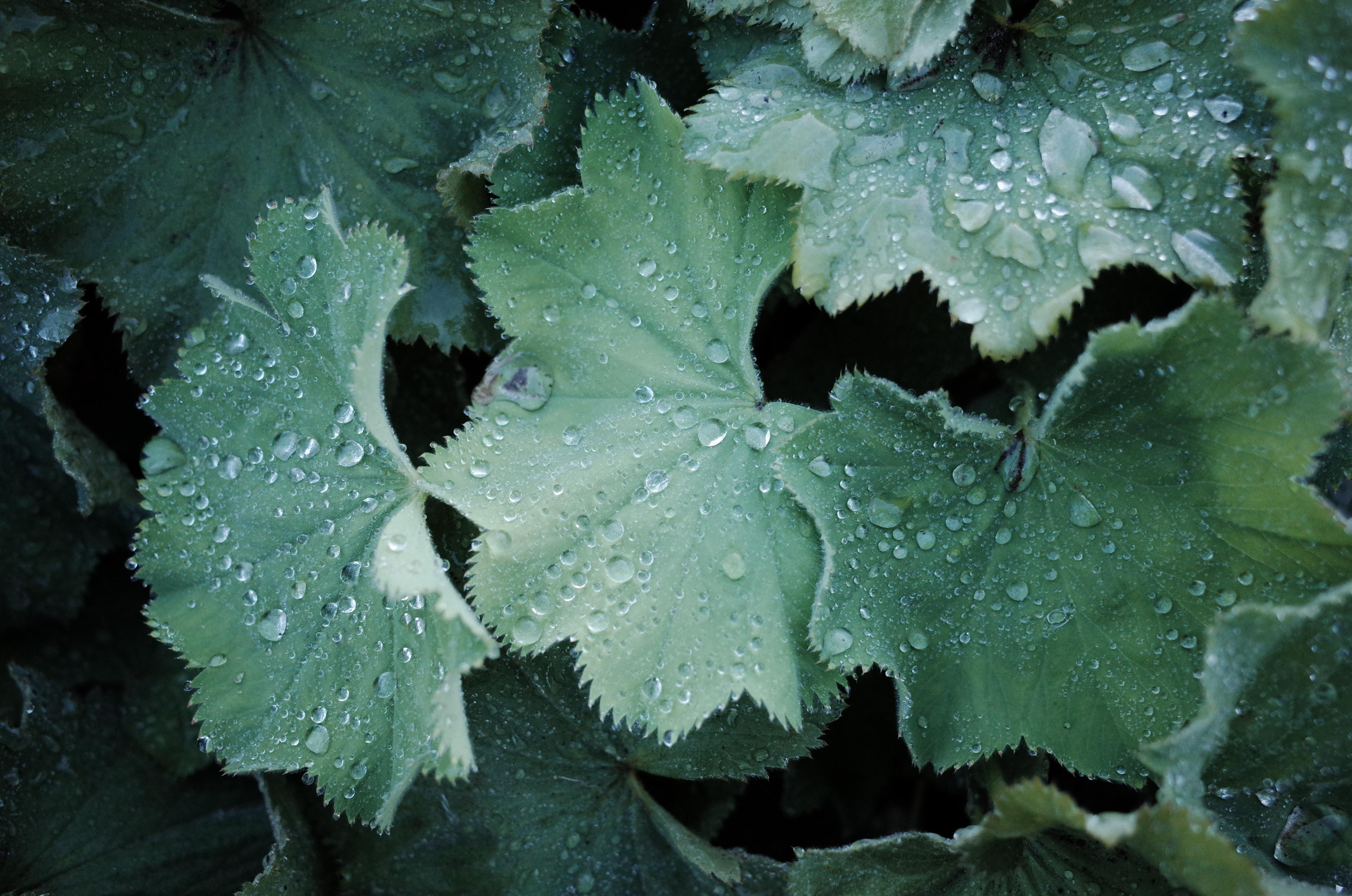 Demeter Dreams. Victoria Dini. Art photography in London / Folkestone, UK