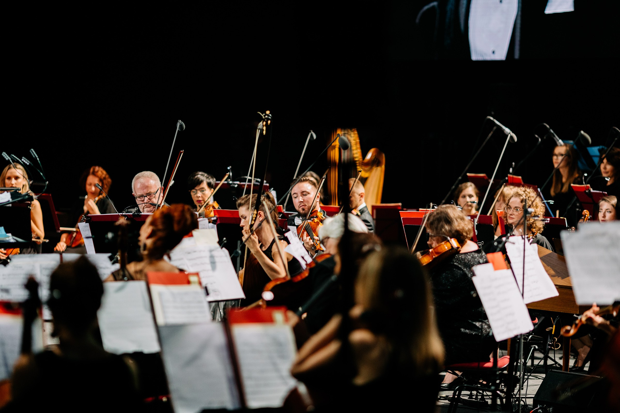 Opera Leśna Koncert. Fotograf Ślubny Warszawa - Sesje Biznesowe Rodzinne Eventy