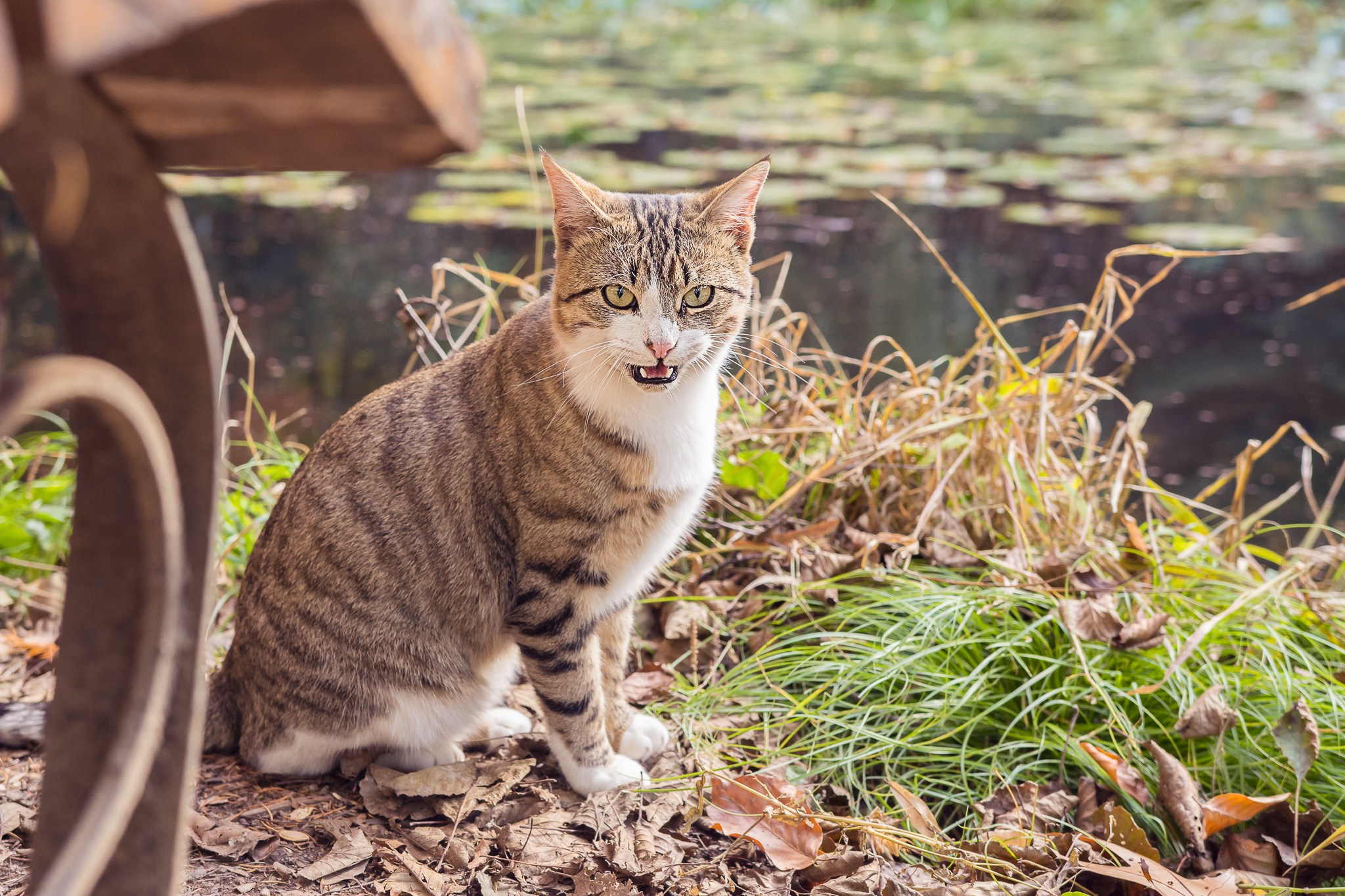 ~Peisaje~. Andreea Ivan art-Fotograf Constanta, Fotograf profesionist Constanta, Fotograf de nunta Constanta, botez, sedinte foto cu tematica, portret
