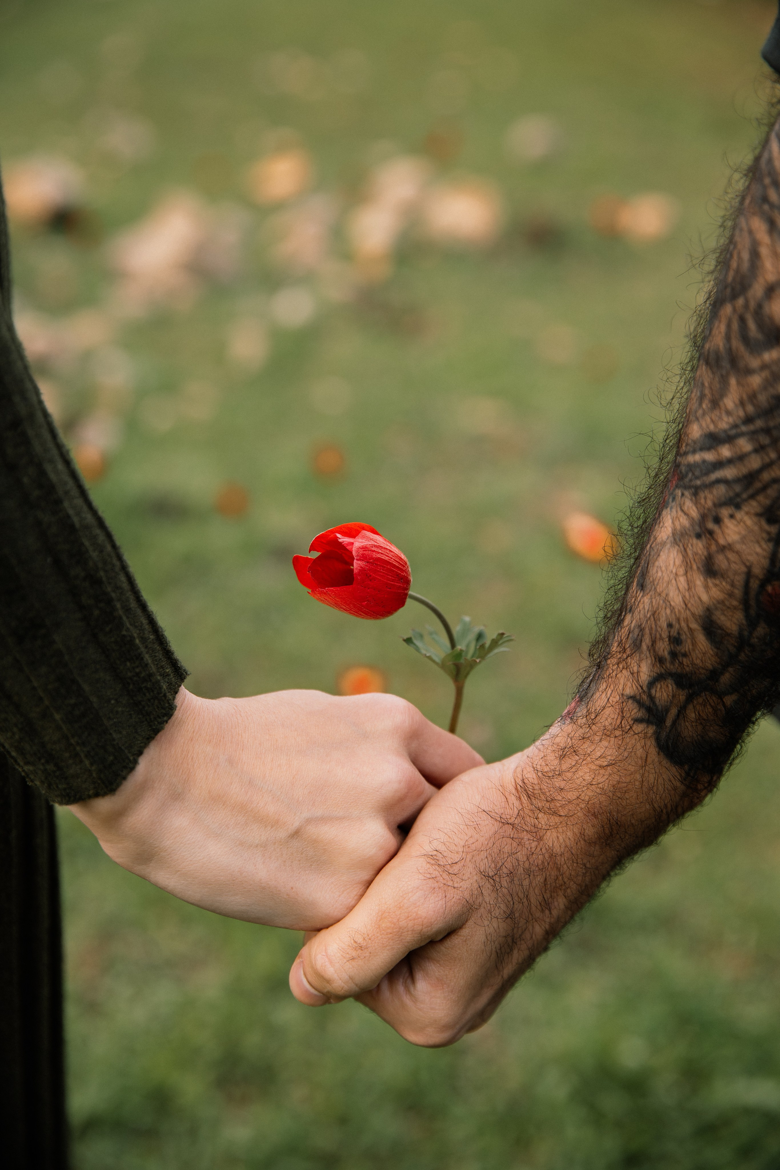 Arina's family. Семейный фотограф в Израиле