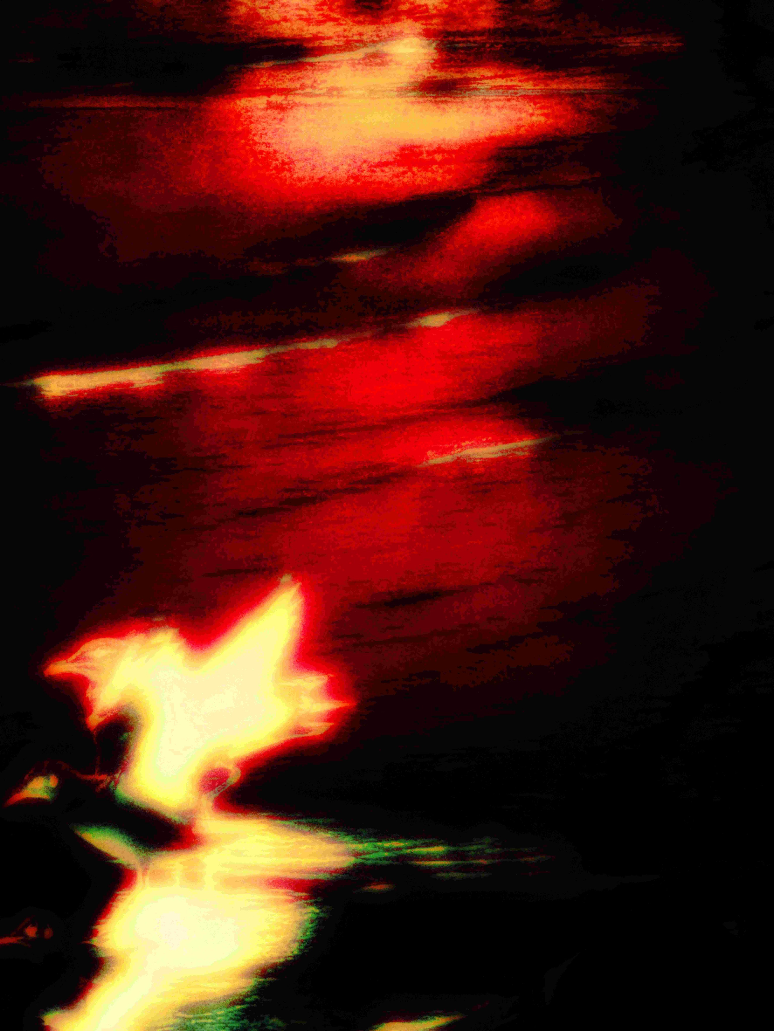 SEAGULLS. Irina Owlik — Visual Artist