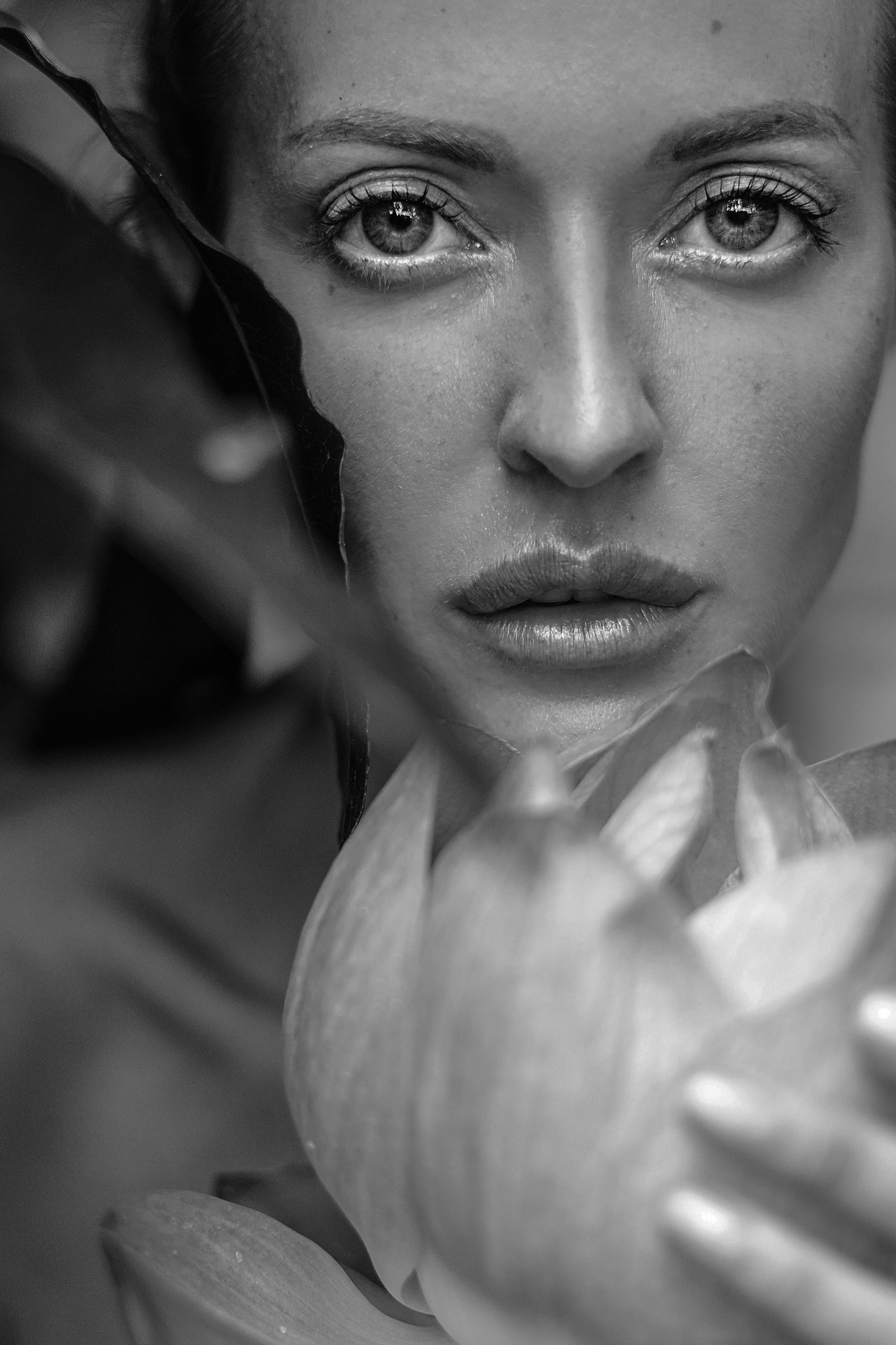 WOMAN. Фотограф и видеограф в США (и по всему миру) — Татьяна Иванова