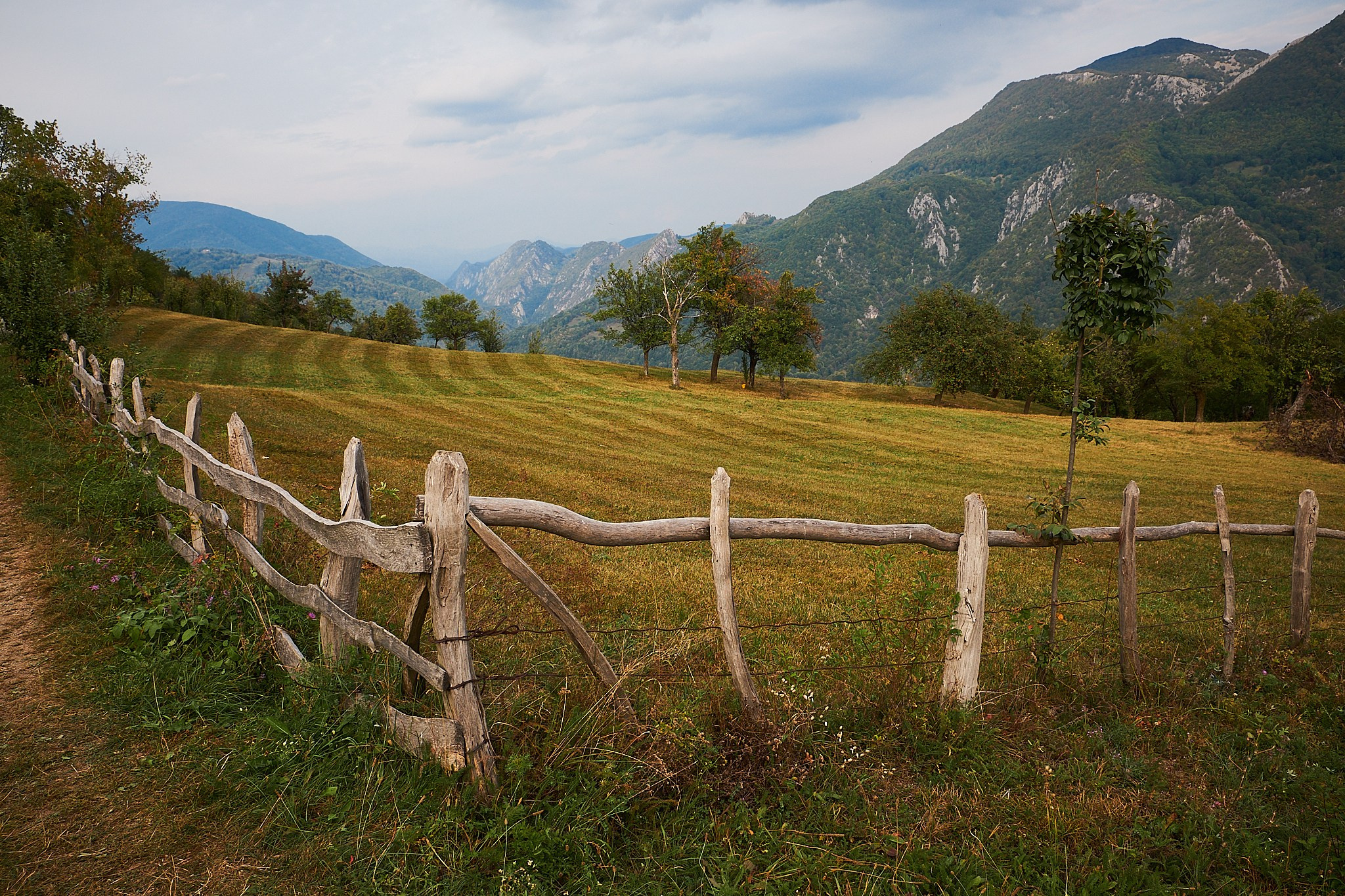 Ineleț, jud. Caraș-Severin. Pagina principală