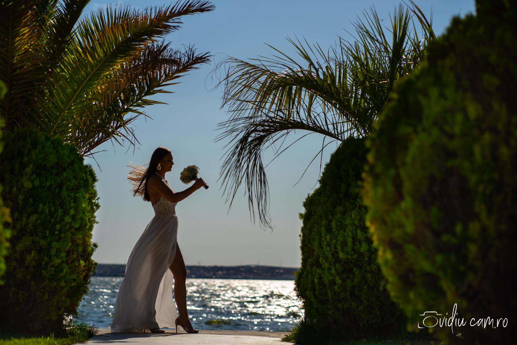 Logodna. Fotograf de Nunta