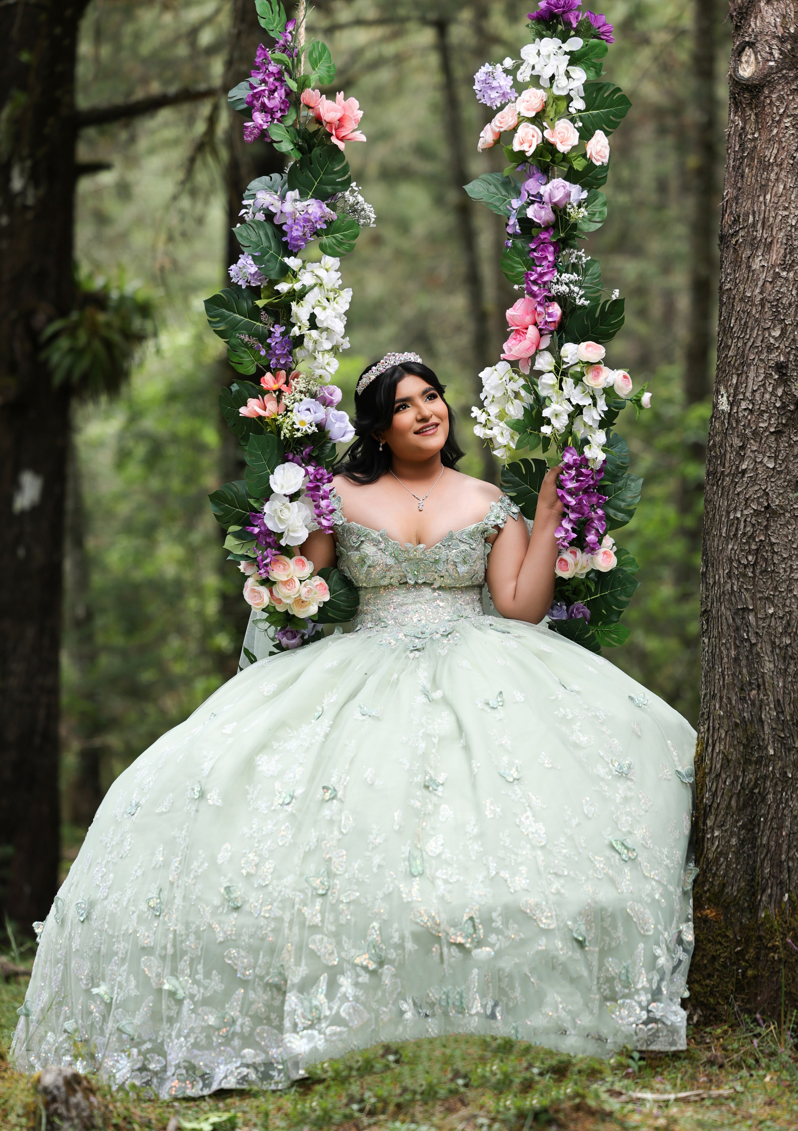 Fotografias de XV años. Principal