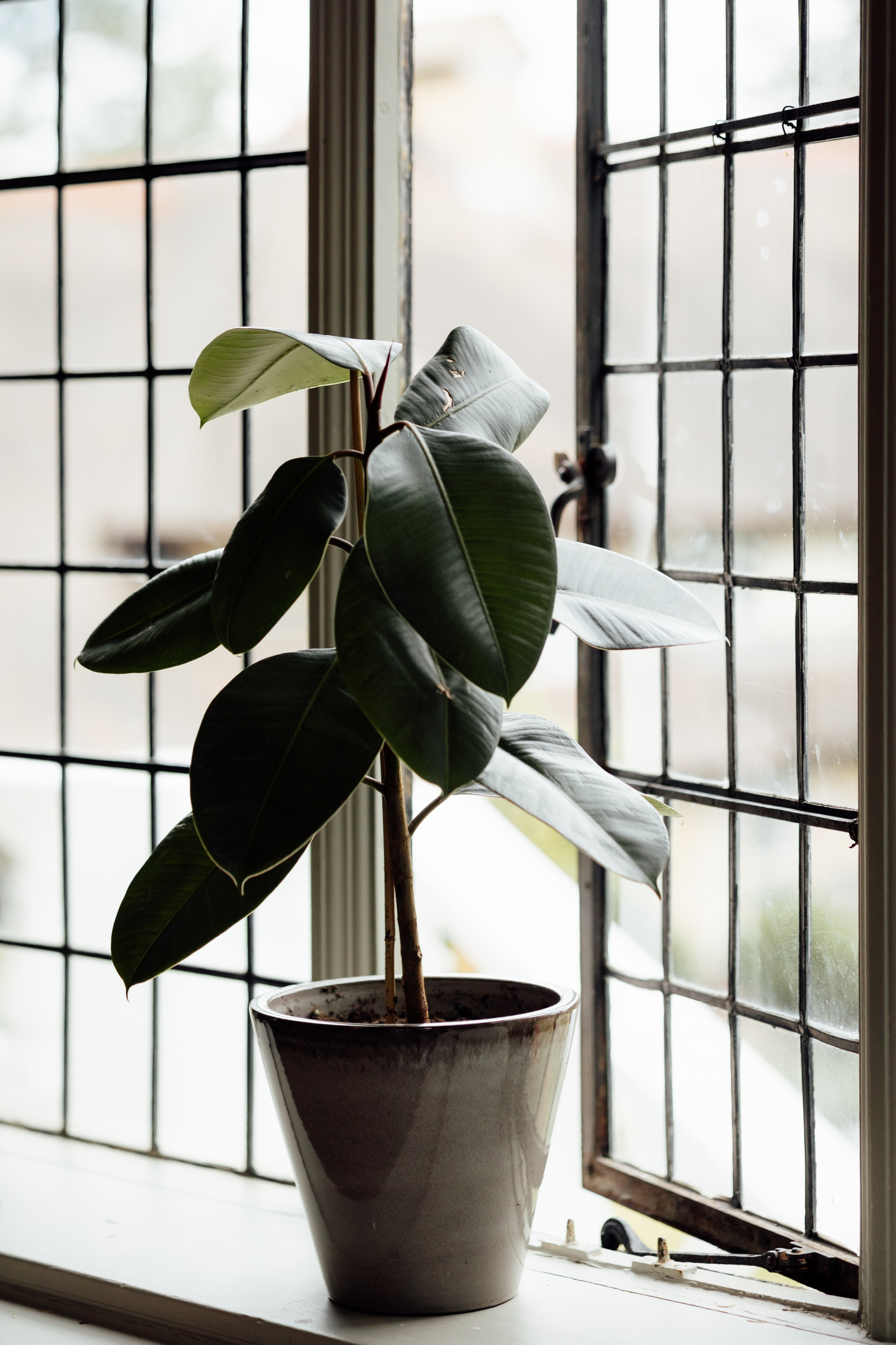 Chloe & Andre -The Manor Elstree, Hertfordshire. Timeless Wedding & Event Photography from London to the world