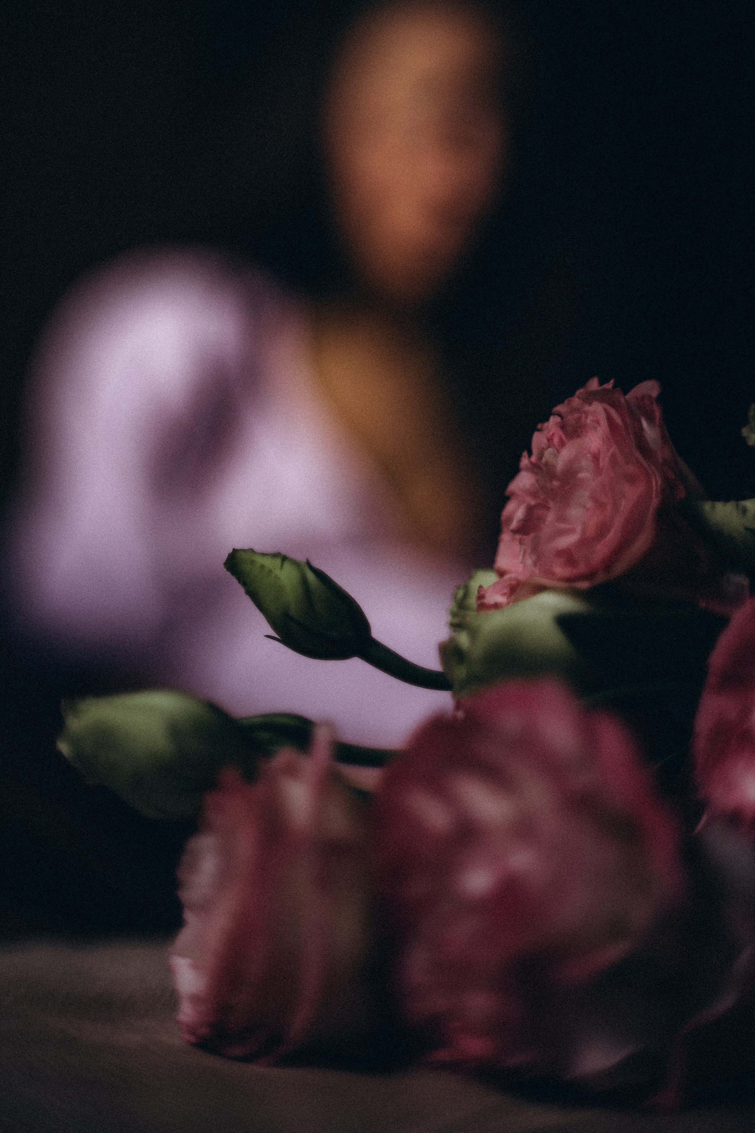 1 day before & after Helen’s Birth. Fotografa documental de familia e nascimento em Florianópolis SC Daria Ermolaev