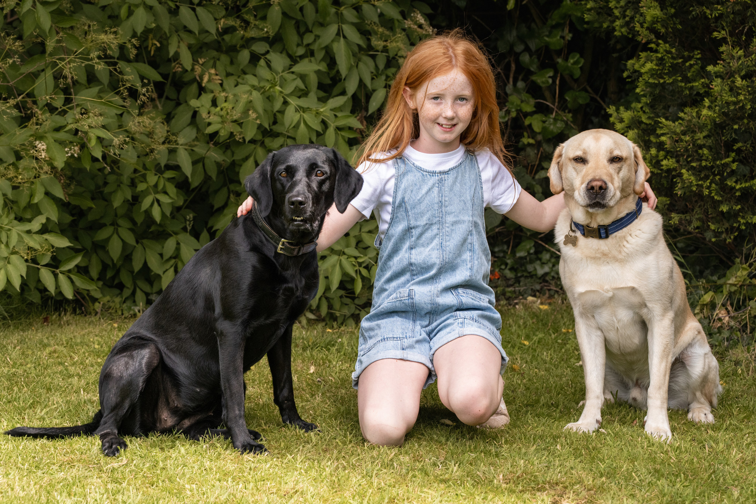 Canine. Leicestershire Equine Photography by El | Authentic Equine Portraits & Events