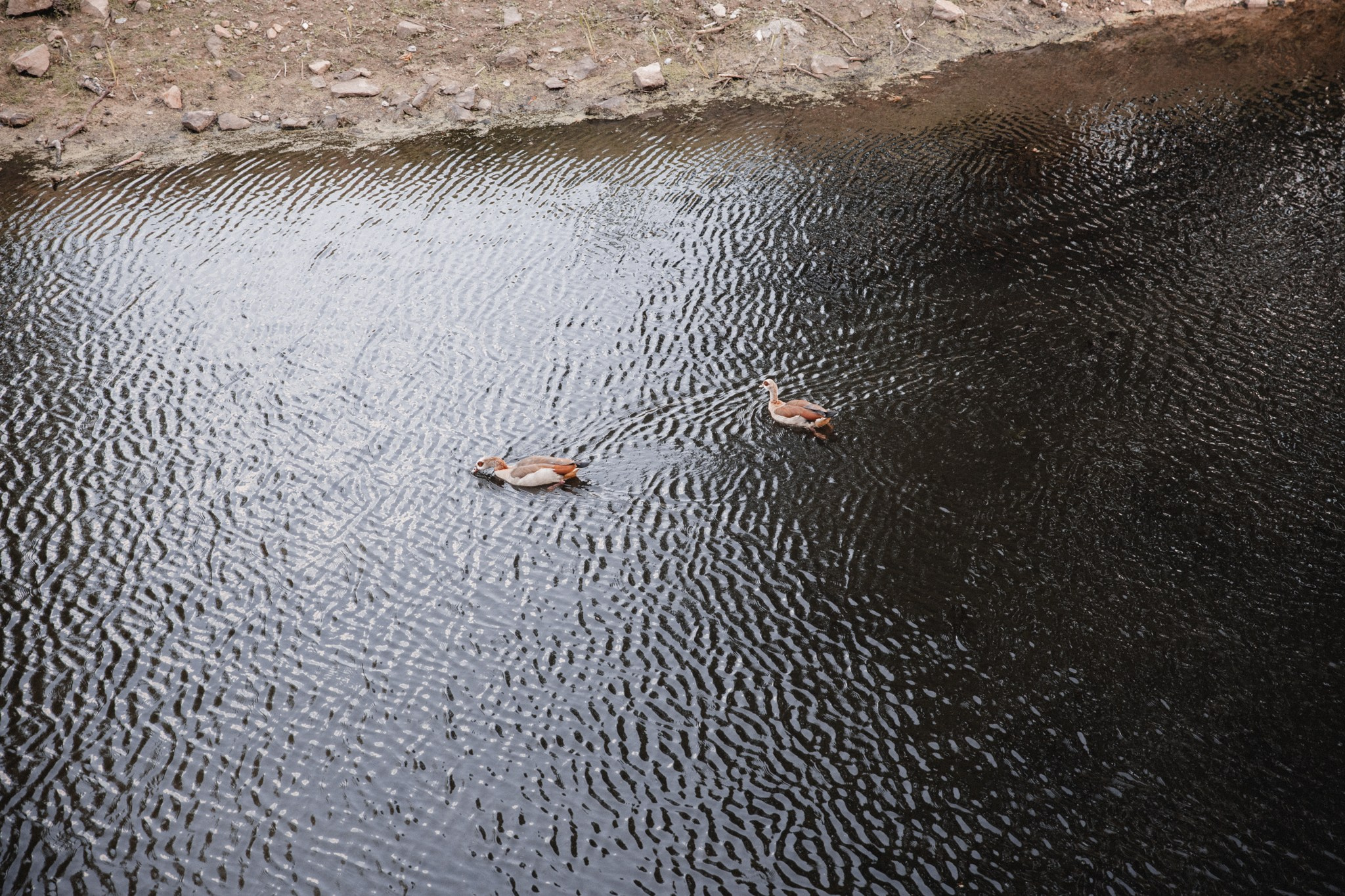 SASKIA & MAX | HAUS KEMNADE. Photographer in Bochum Dolia Halyna