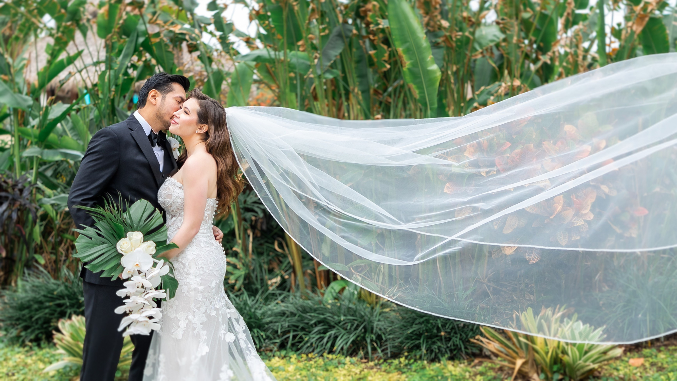 Wedding and Event photography, Kisses + Veil