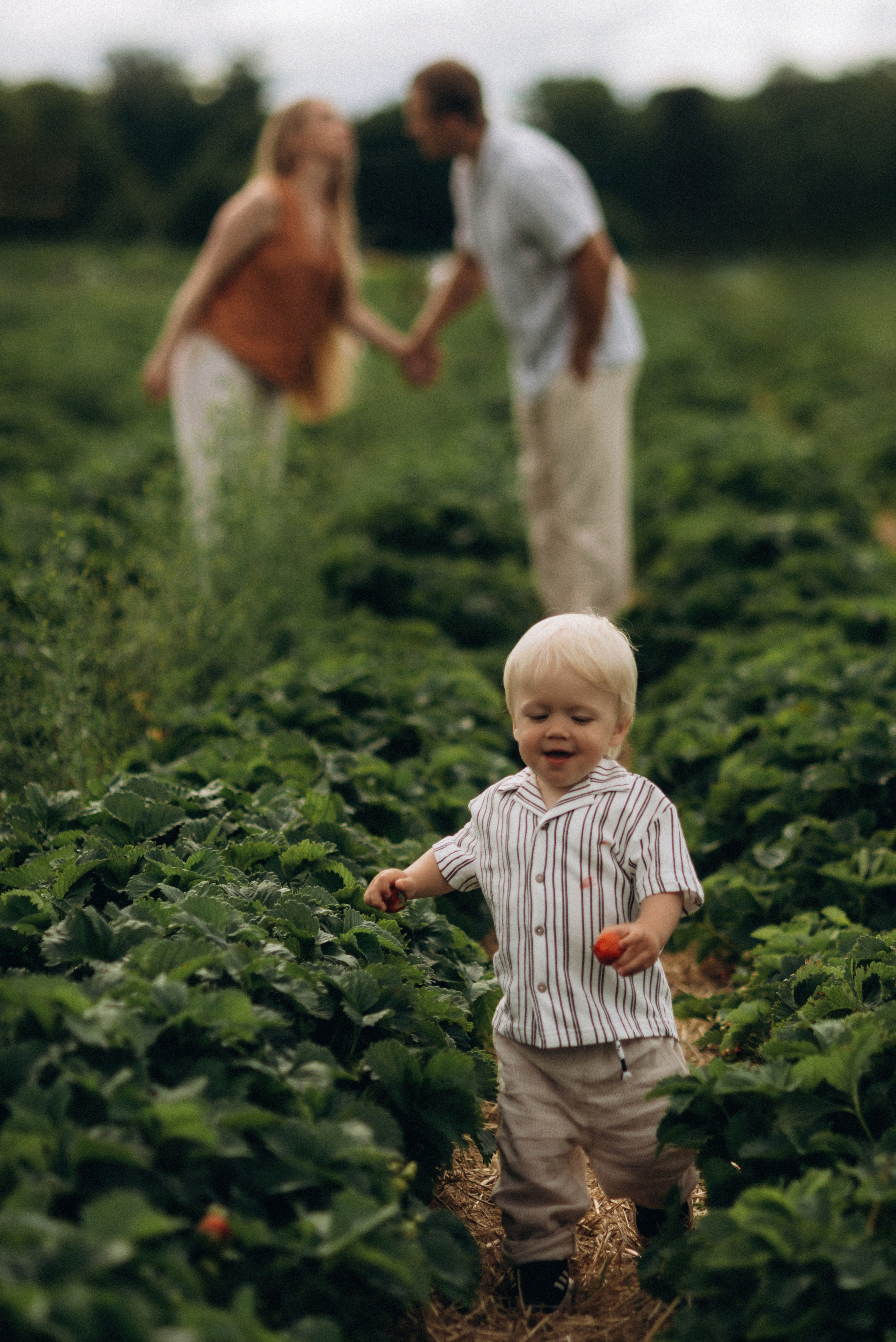 Семейная фотосессия в клубнике. Семейный фотограф Лейпциг, Германия