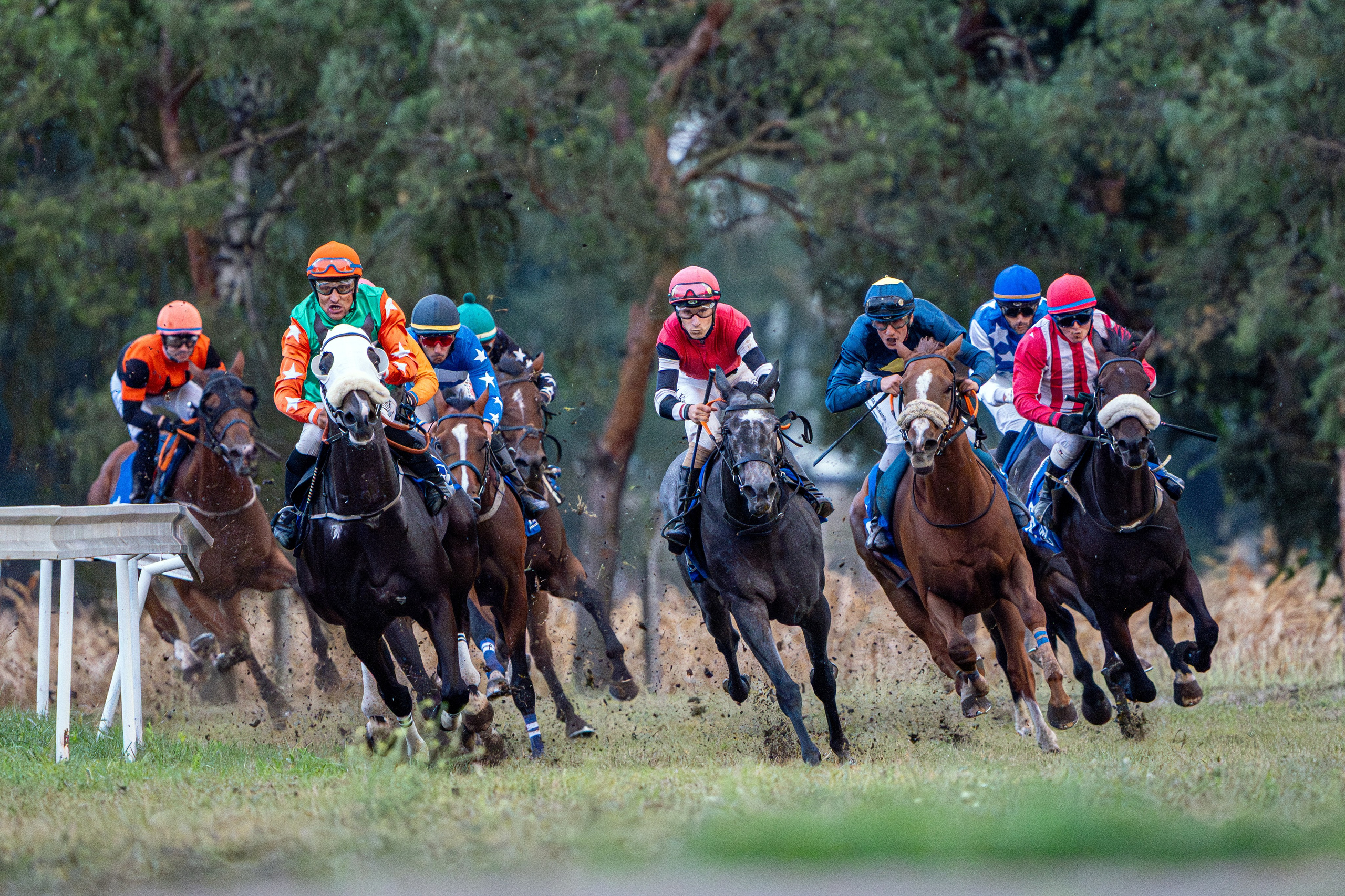 Sport. Wedding photography