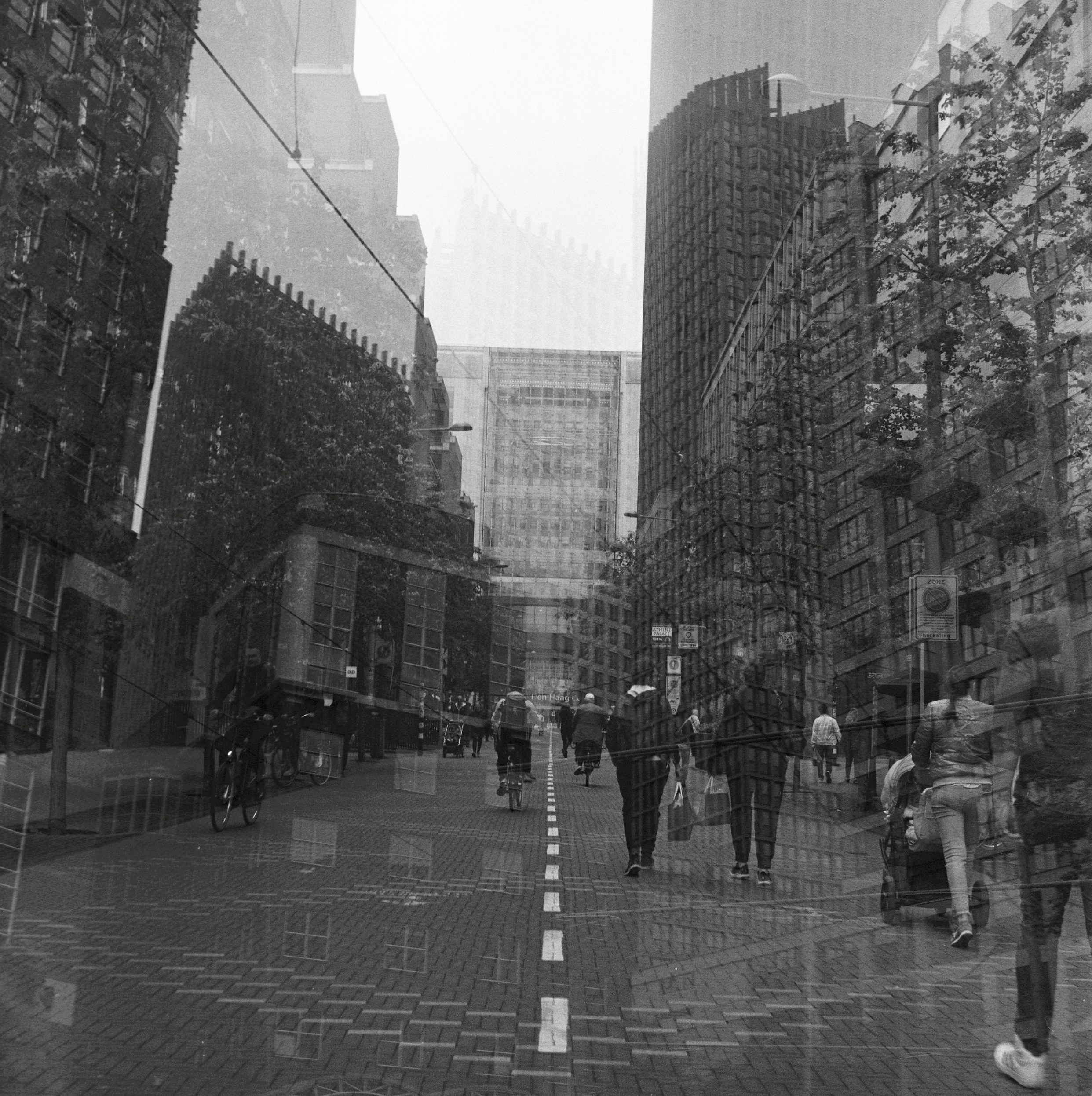 Film Photography. Denshyr — Visual Artist