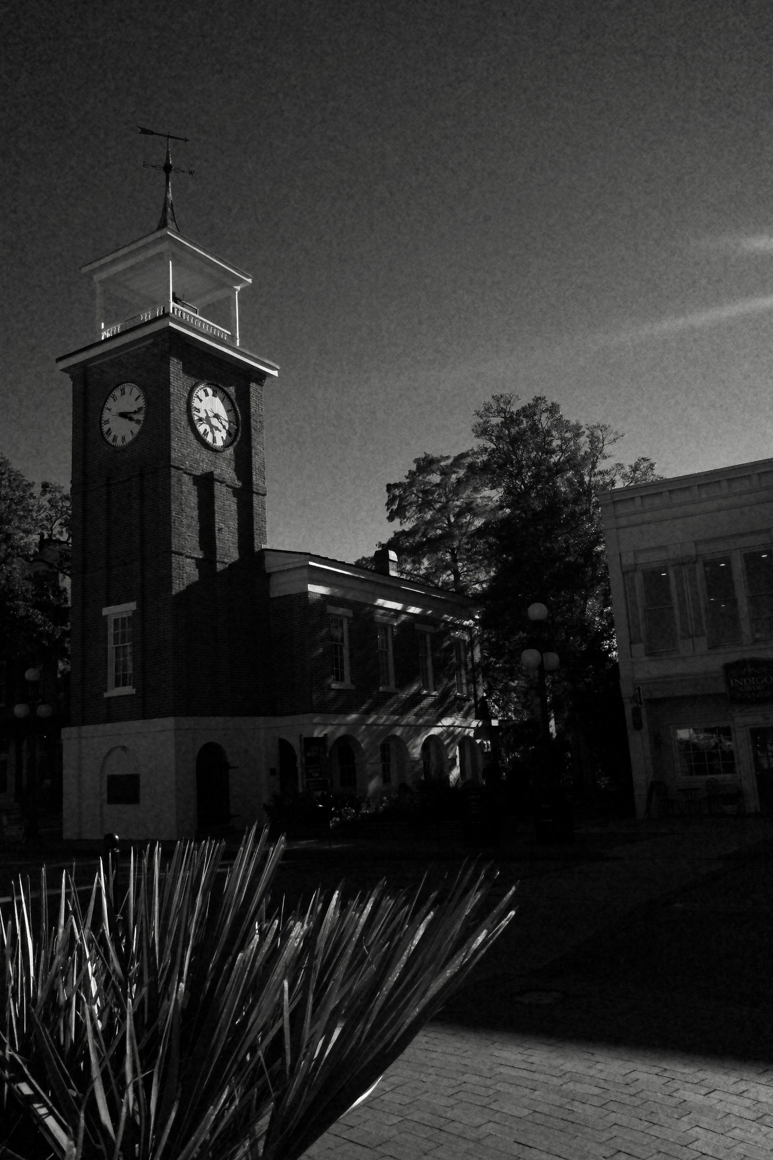 Monochrome. Sonny Photos