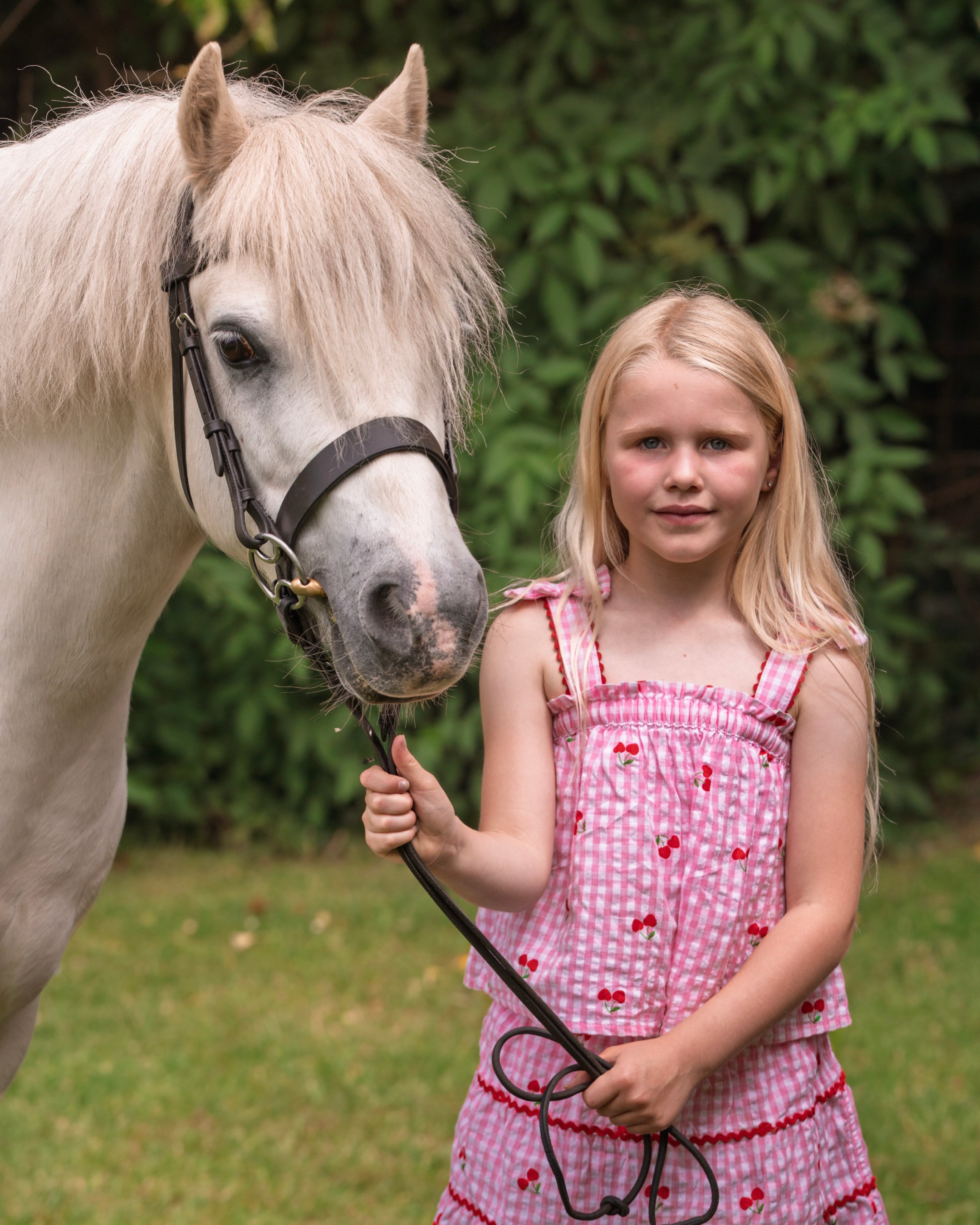 Equine Photography Portfolio | Leicestershire Horse Portrait Photographer. Leicestershire Equine Photography by El | Authentic Equine Portraits & Events
