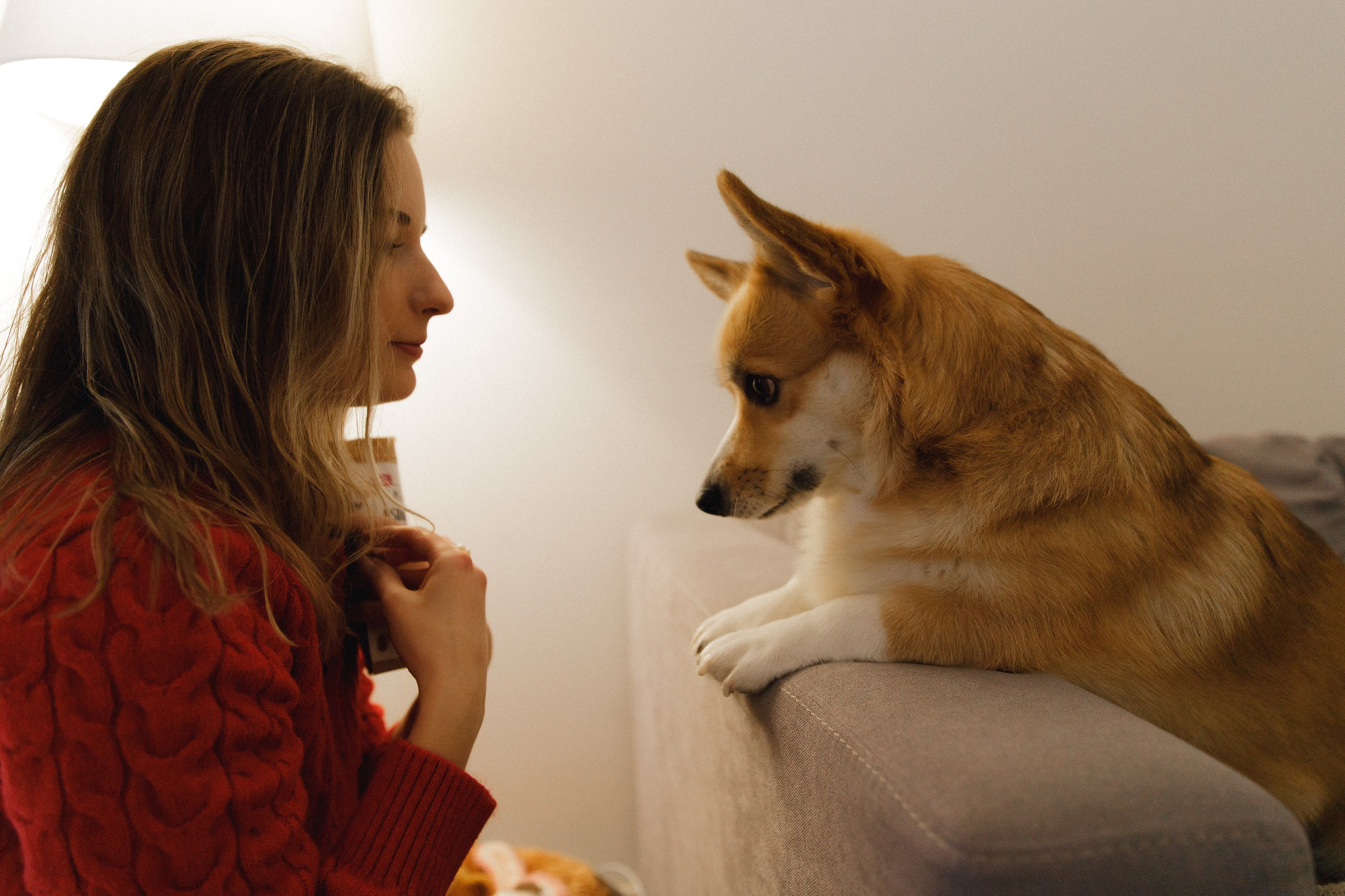Dasha & Daisy. Kaja | fotograf psów we Wrocławiu