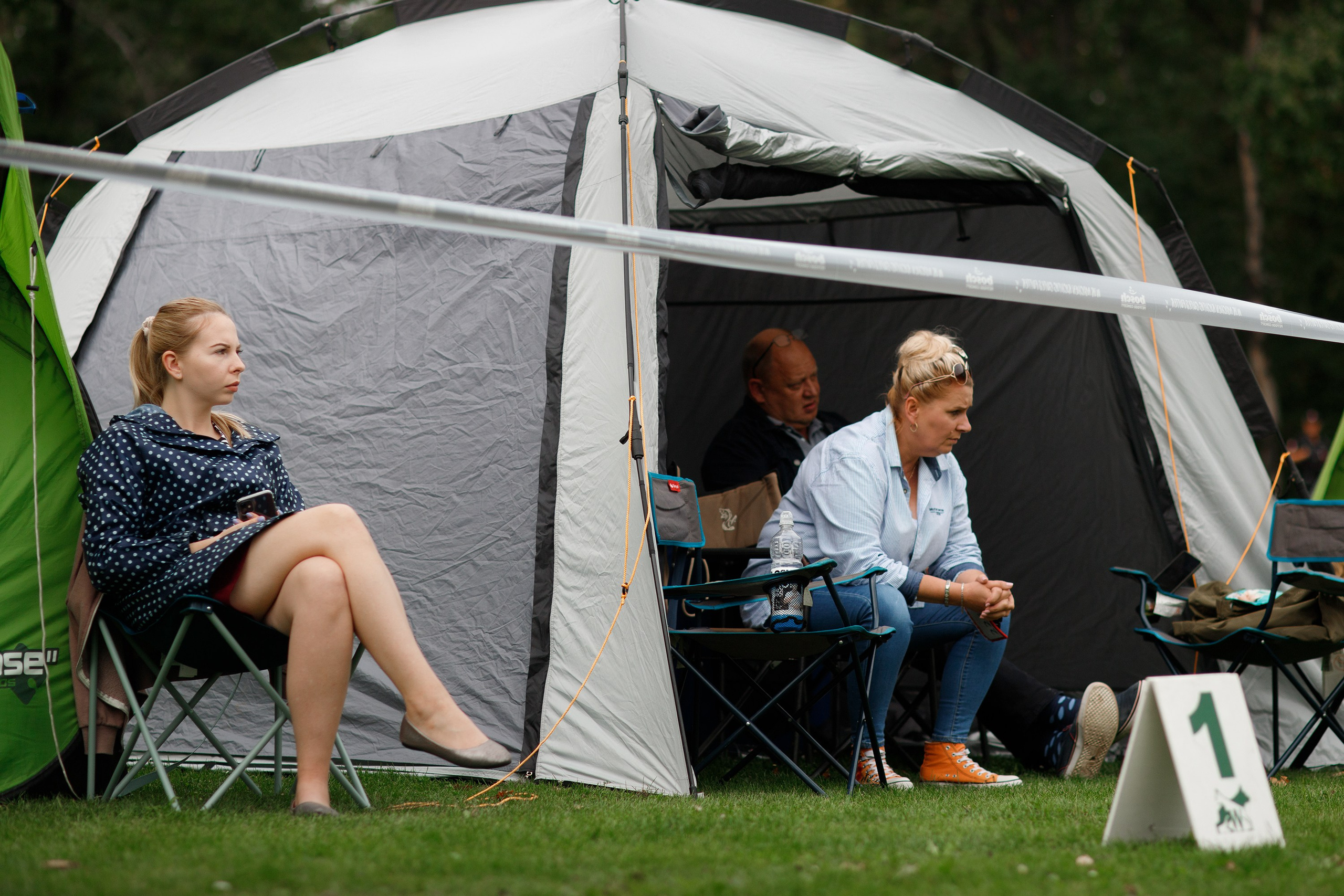 Dog shows | the best ones. Kaja | fotograf psów we Wrocławiu