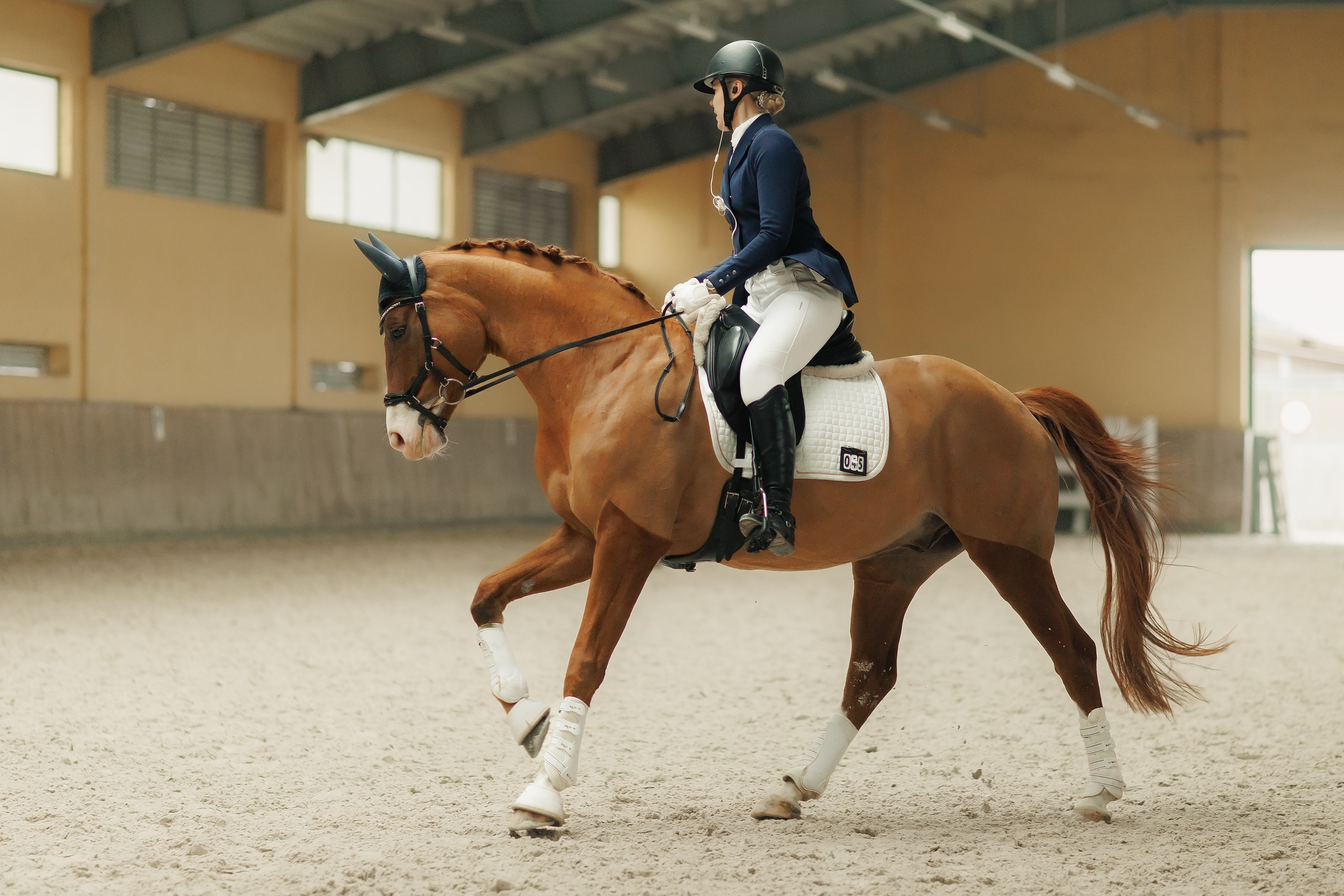 Partynice dressage \ feb'25. Kaja | fotograf we Wrocławiu | ludzie i psy