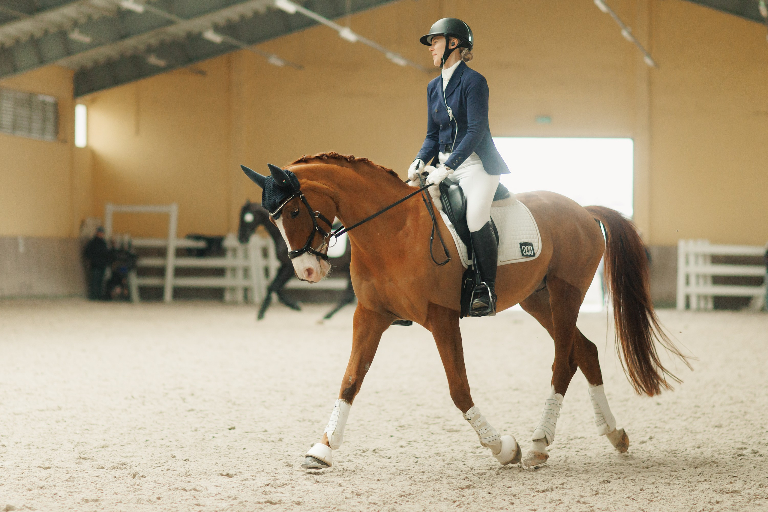 Partynice dressage \ feb'25. Kaja | fotograf we Wrocławiu | ludzie i psy