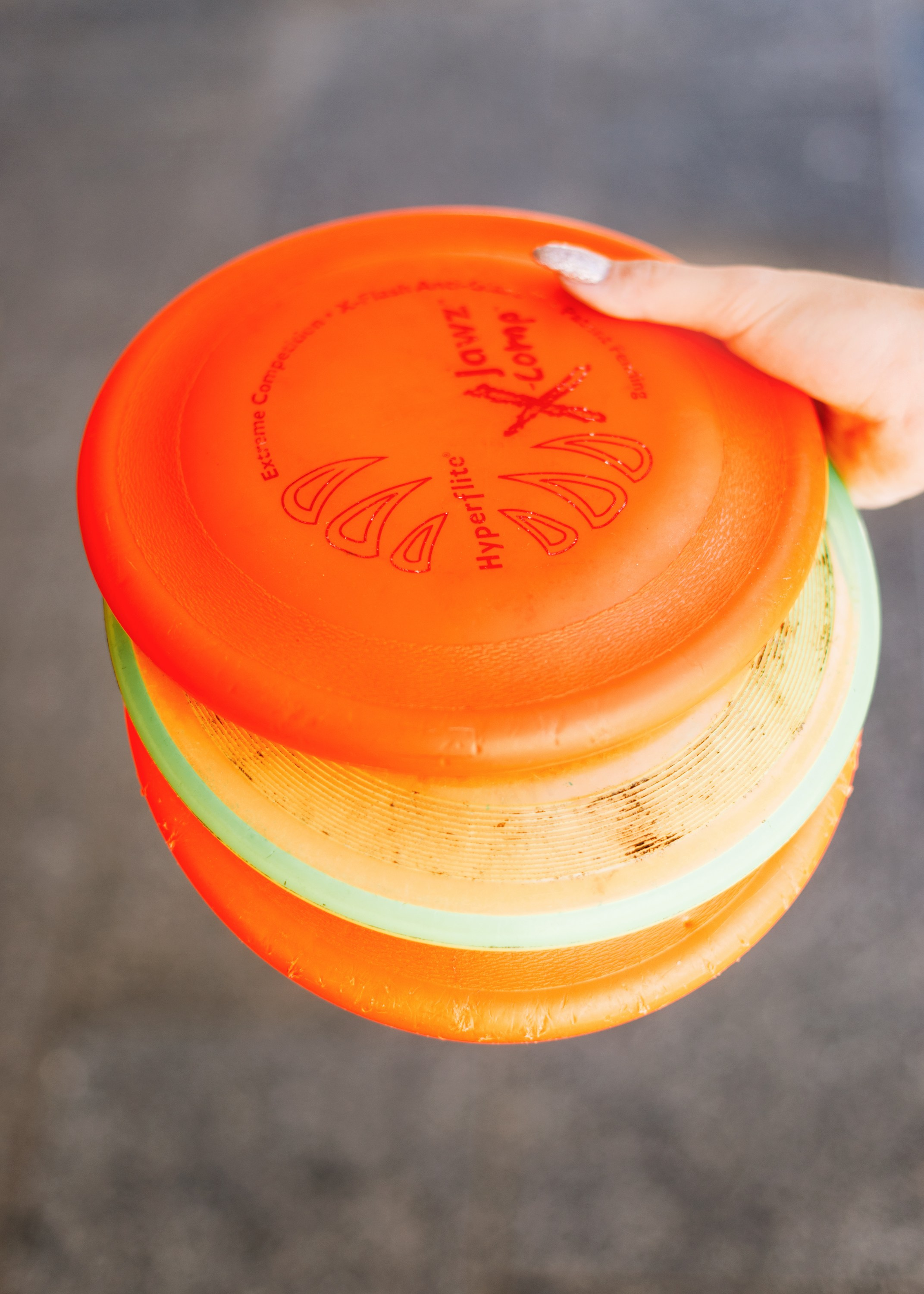 Dog trainer blog content. Kaja | fotograf we Wrocławiu | ludzie i psy