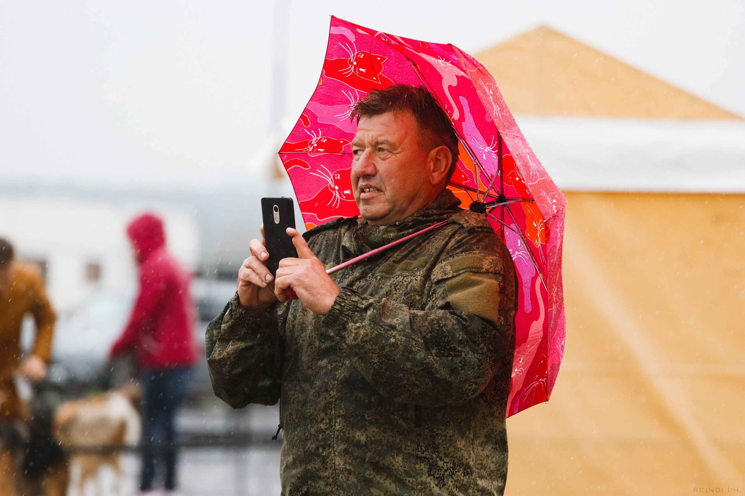 Rainy dog show in Grodno. Kaja | fotograf we Wrocławiu | ludzie i psy
