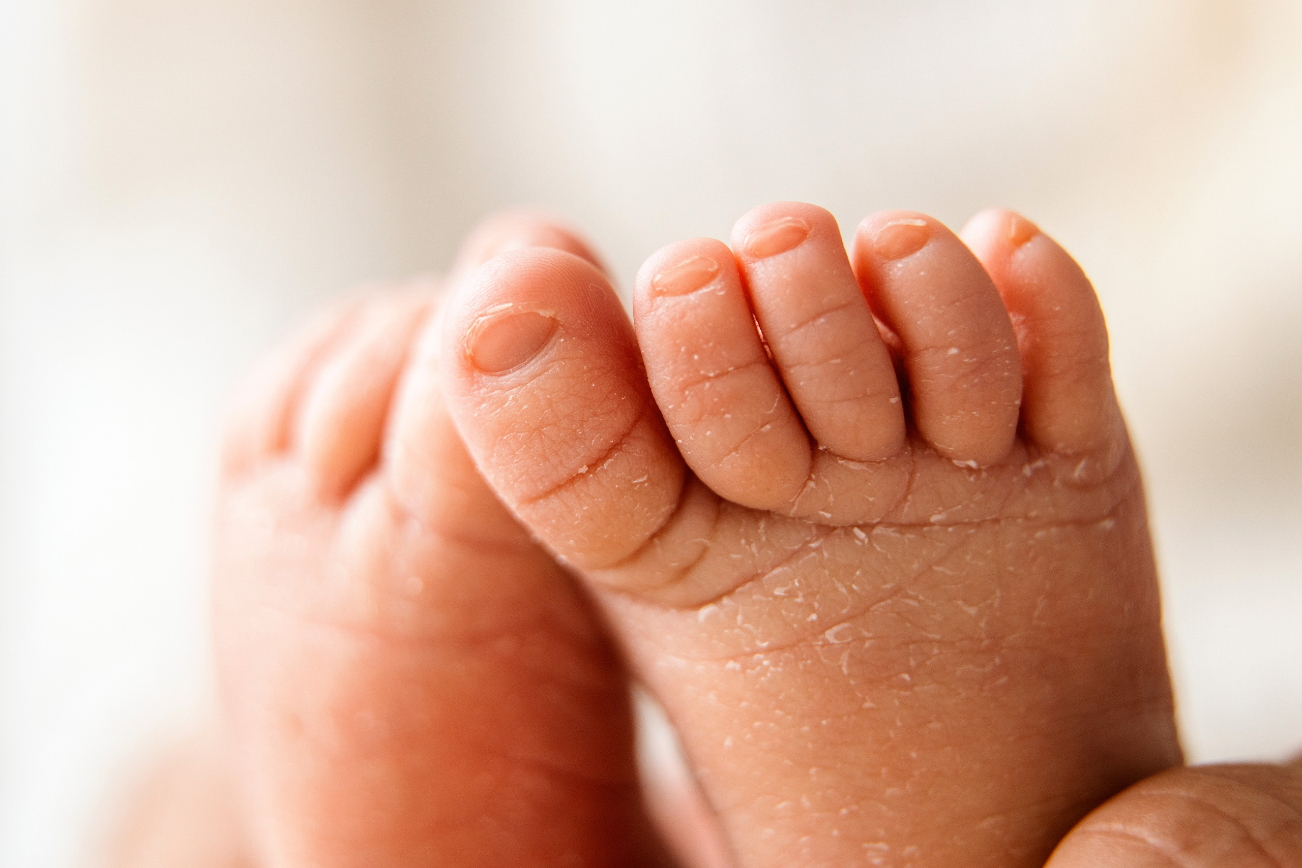 Newborn 2025. Svitlana Miahka fotografa a Genova