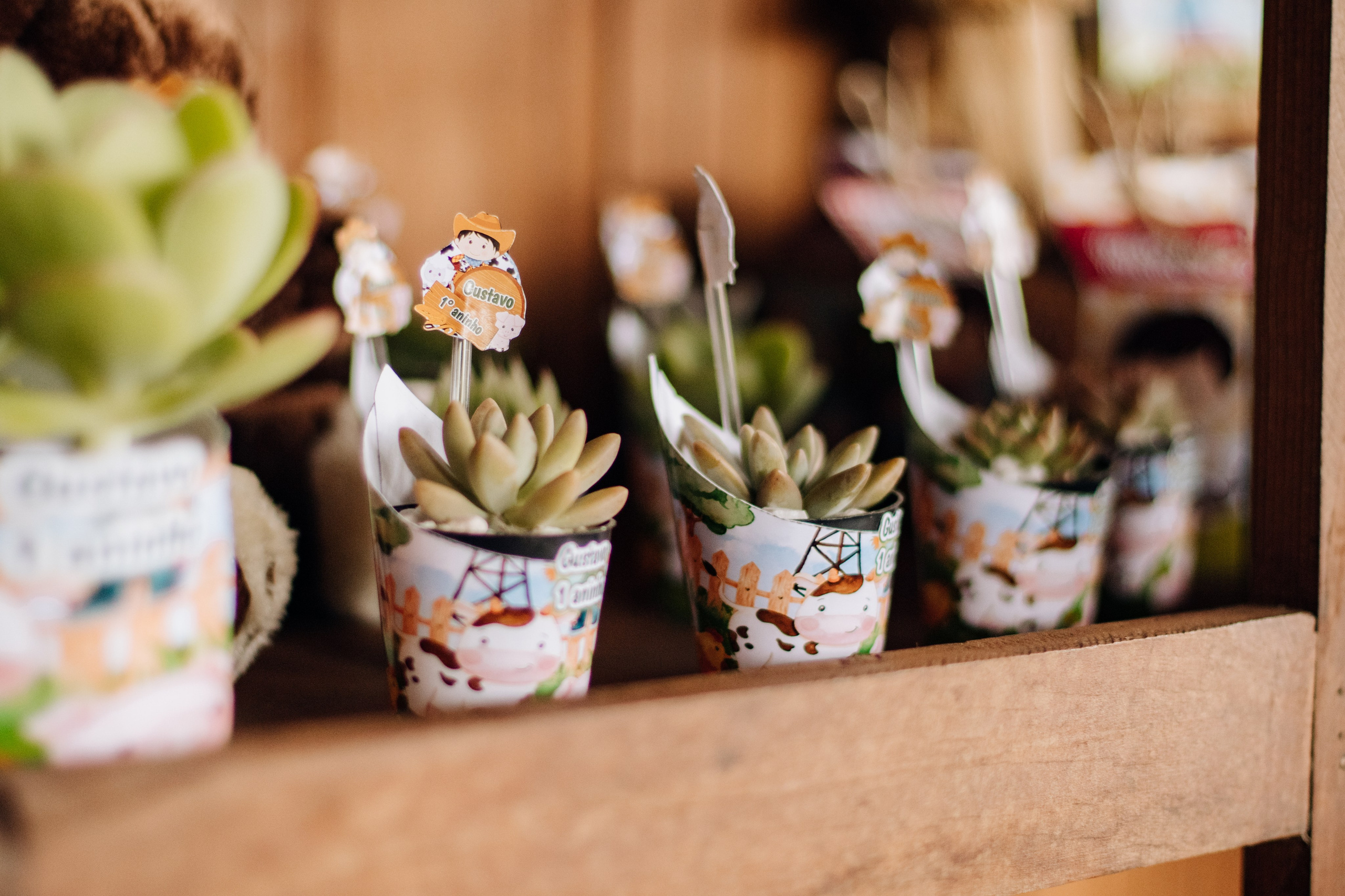 Gustavo — Aniversário 1 ano. Principal