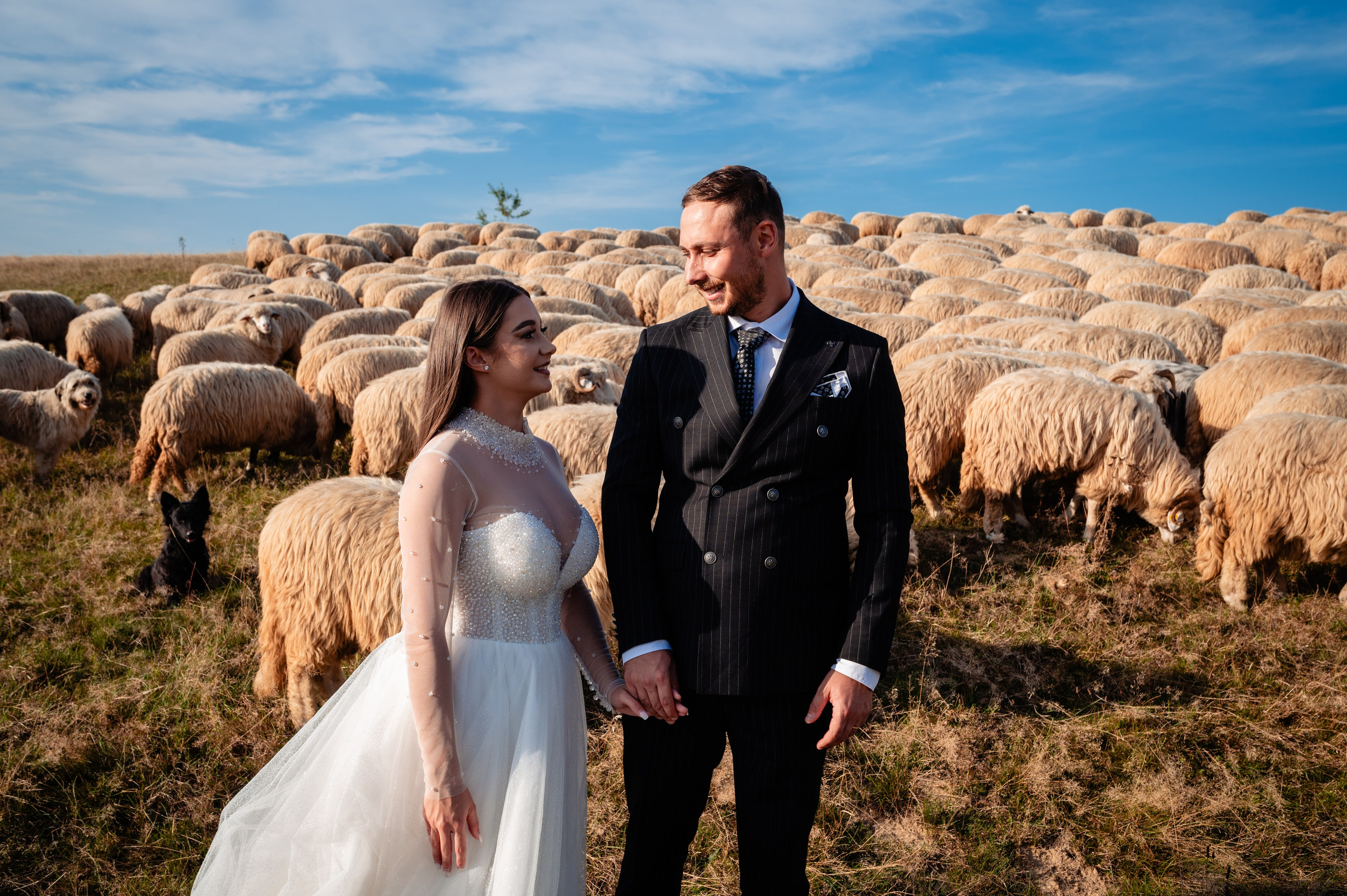 Galerie Foto. Paul Catunescu - Fotograf Nunta