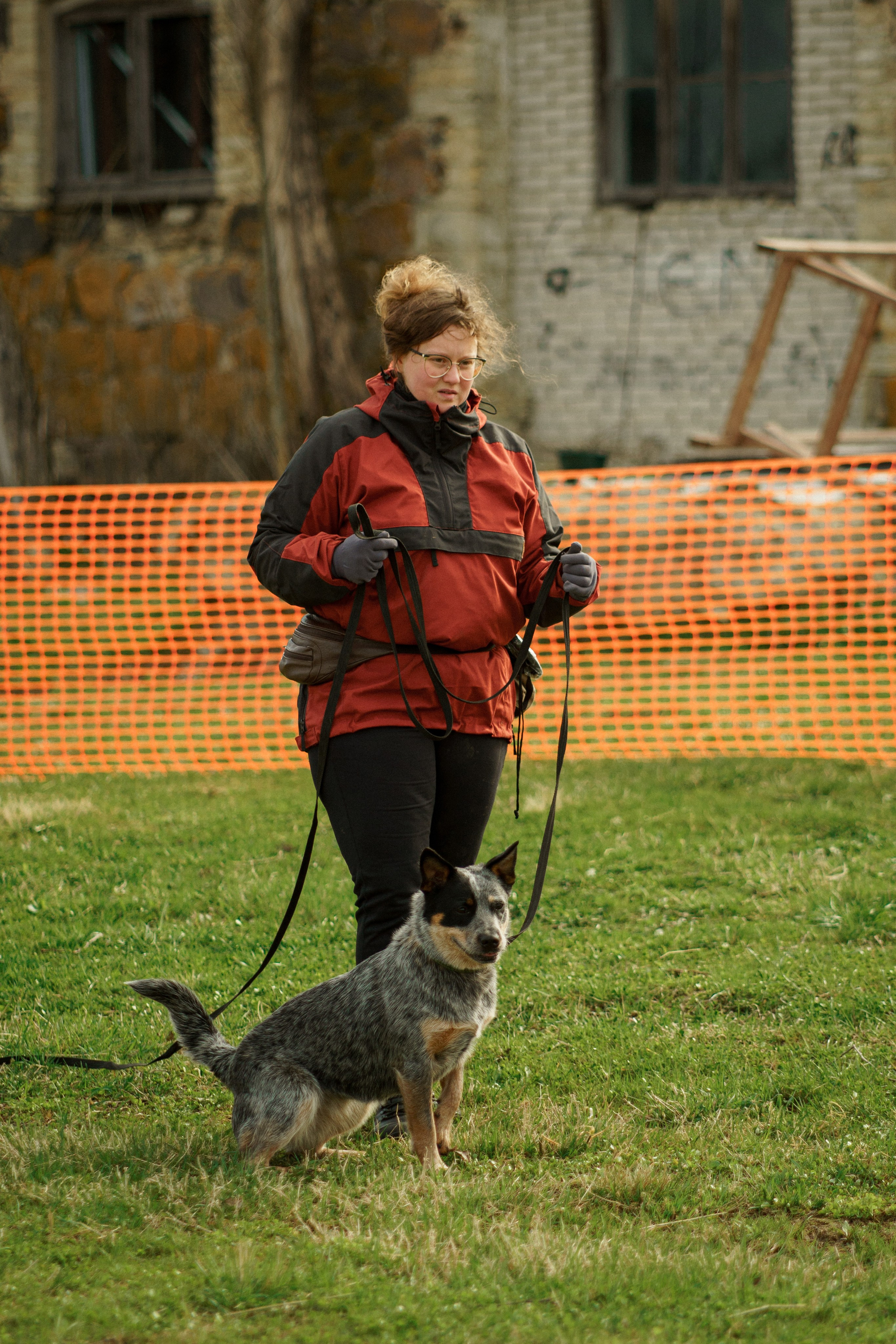 Herding Days, 26 apr. 2025. Kat Laisaar — Pet photographer in Tallinn