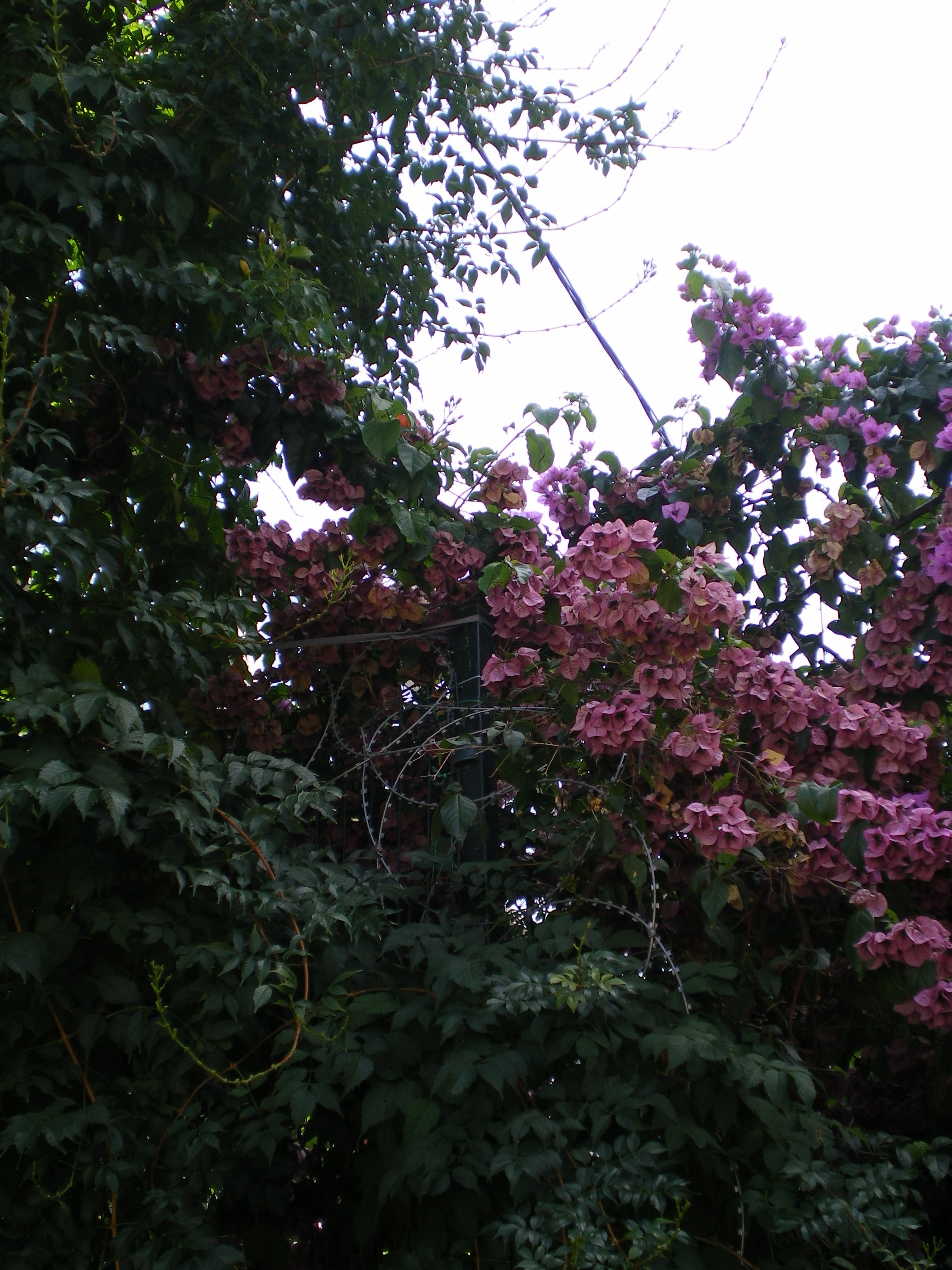 Ode to istanbul. Daria Sukhikh | Photography