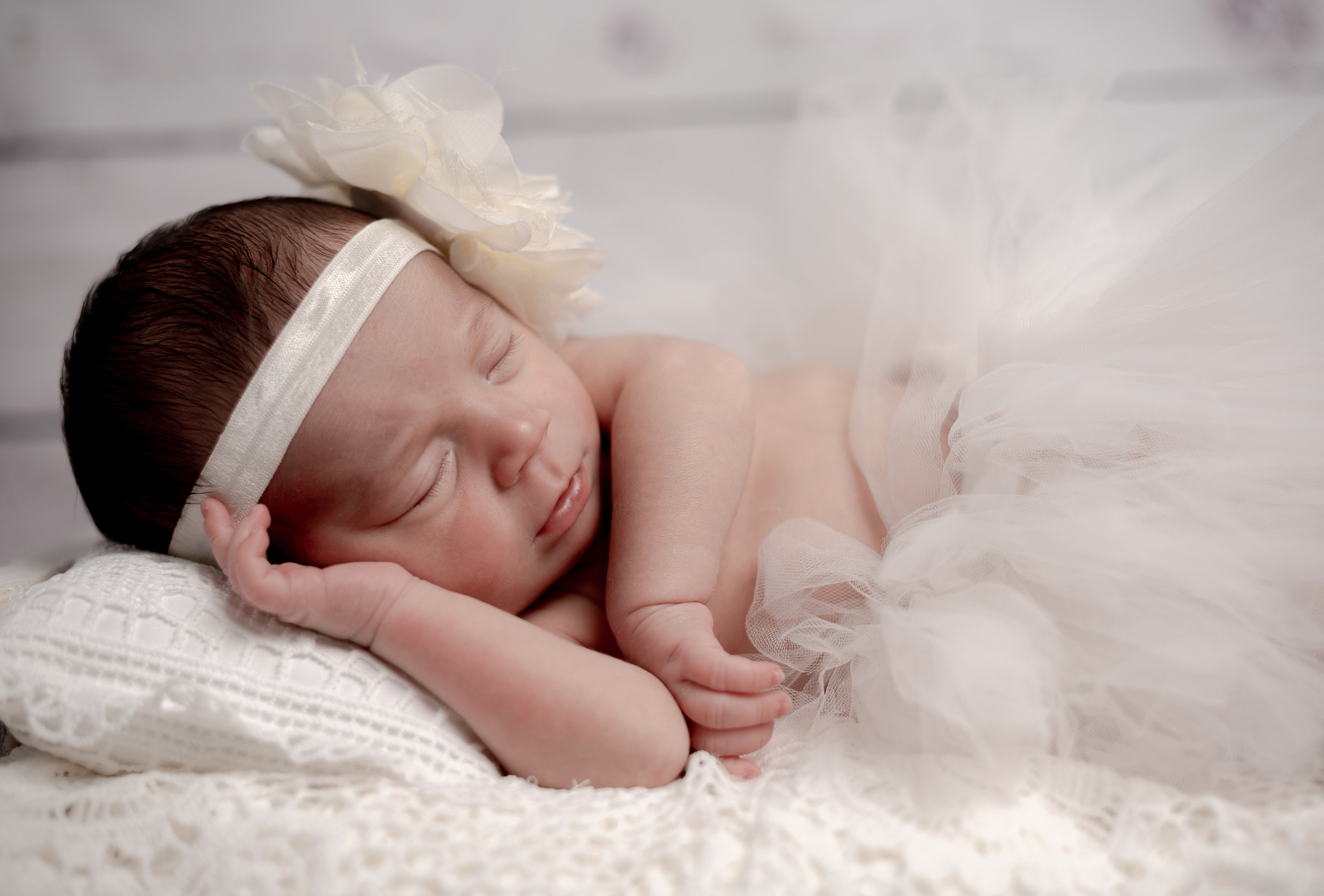 Newborn Photoshoot. Professional Photograher, Antwerpen/Belgium