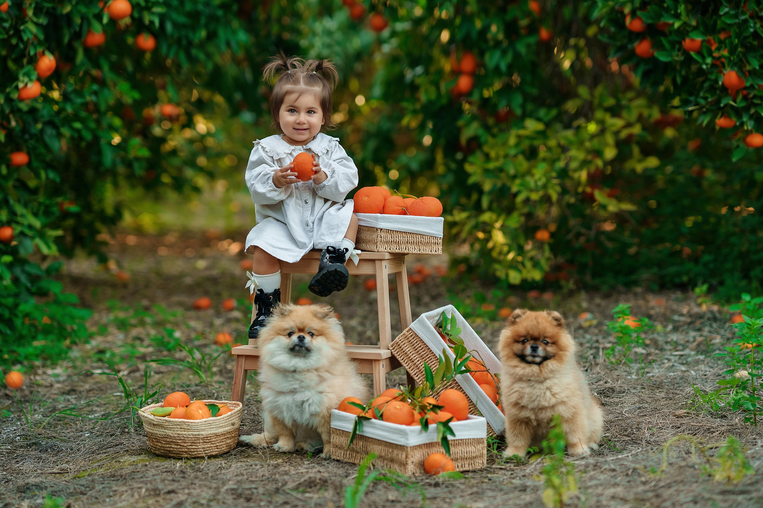 Family photo. Фотограф на Кипре