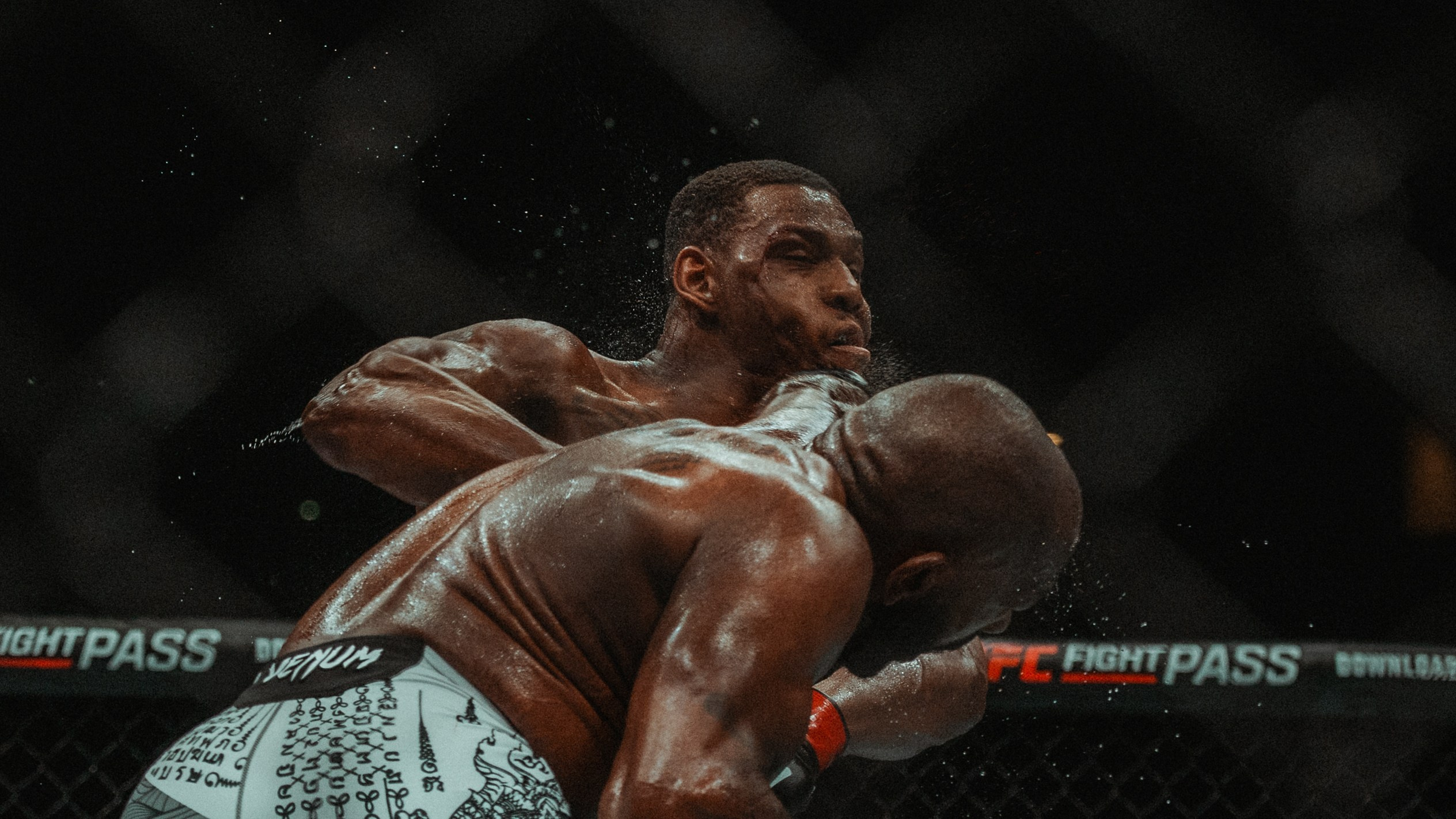UFC. Commercial and Event photographer Eltaj