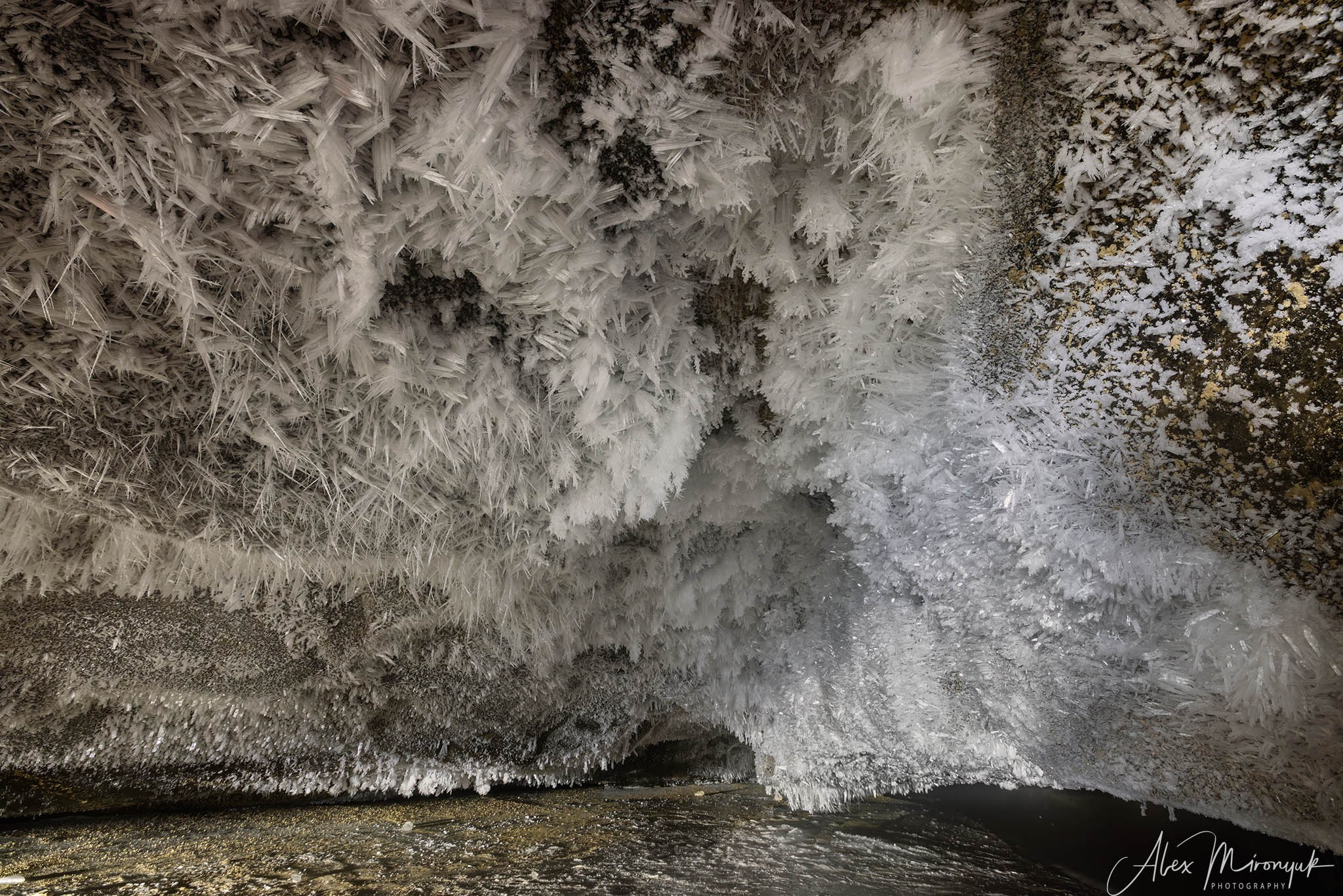 Chasing the Aurora Borealis. Pet, Senior, Landscape, portrait studio, photographer in Miami and Sou