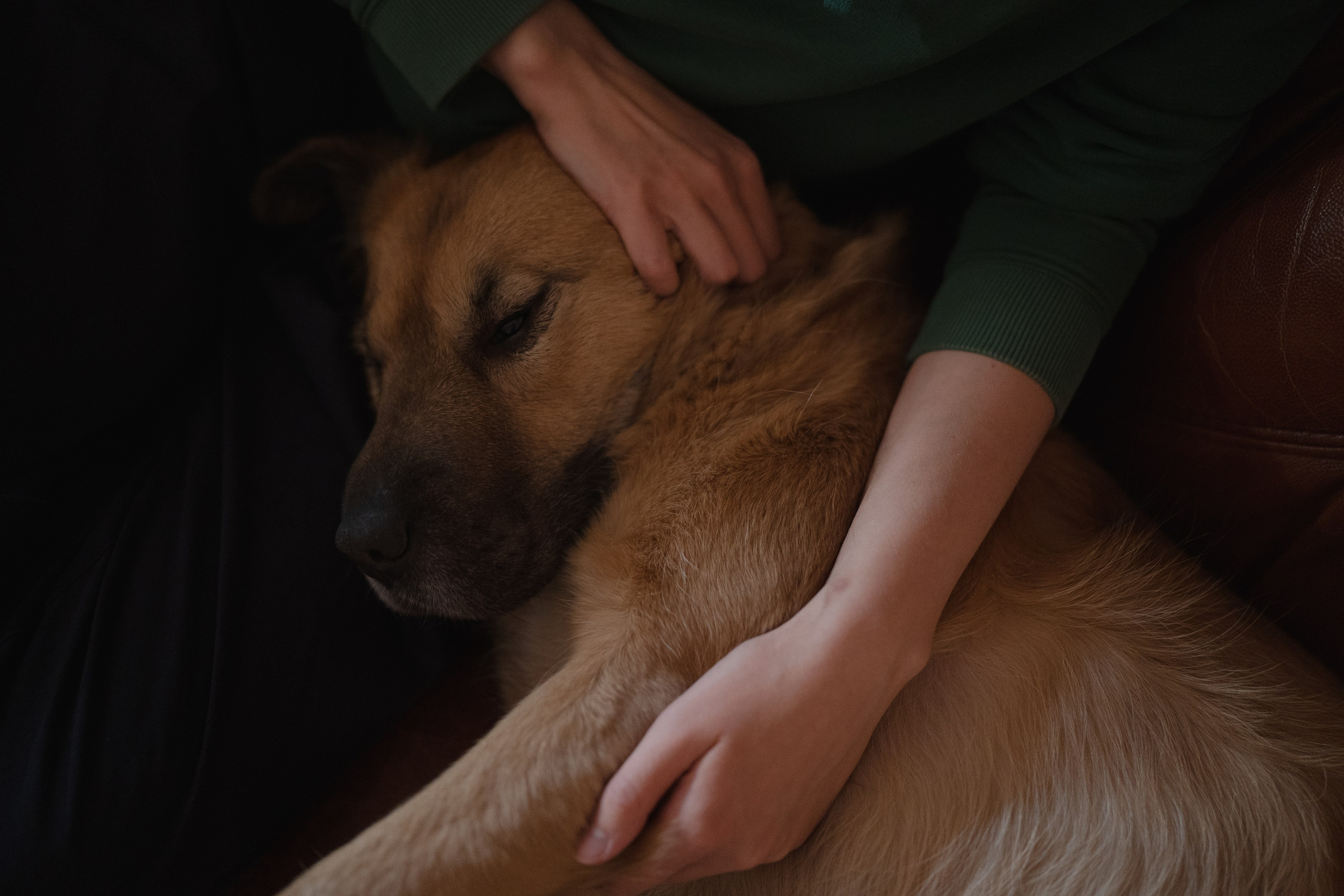 Alena, Vlad and their son Lev. Main