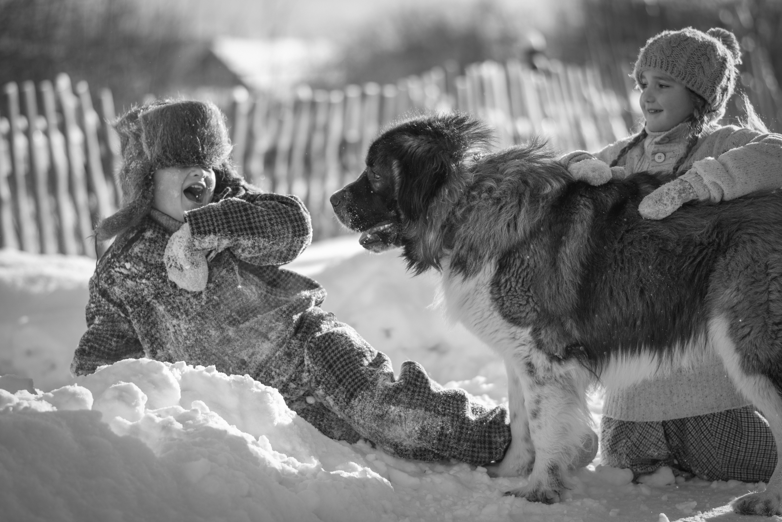 Жанровая фотография. Семейный и детский фотограф