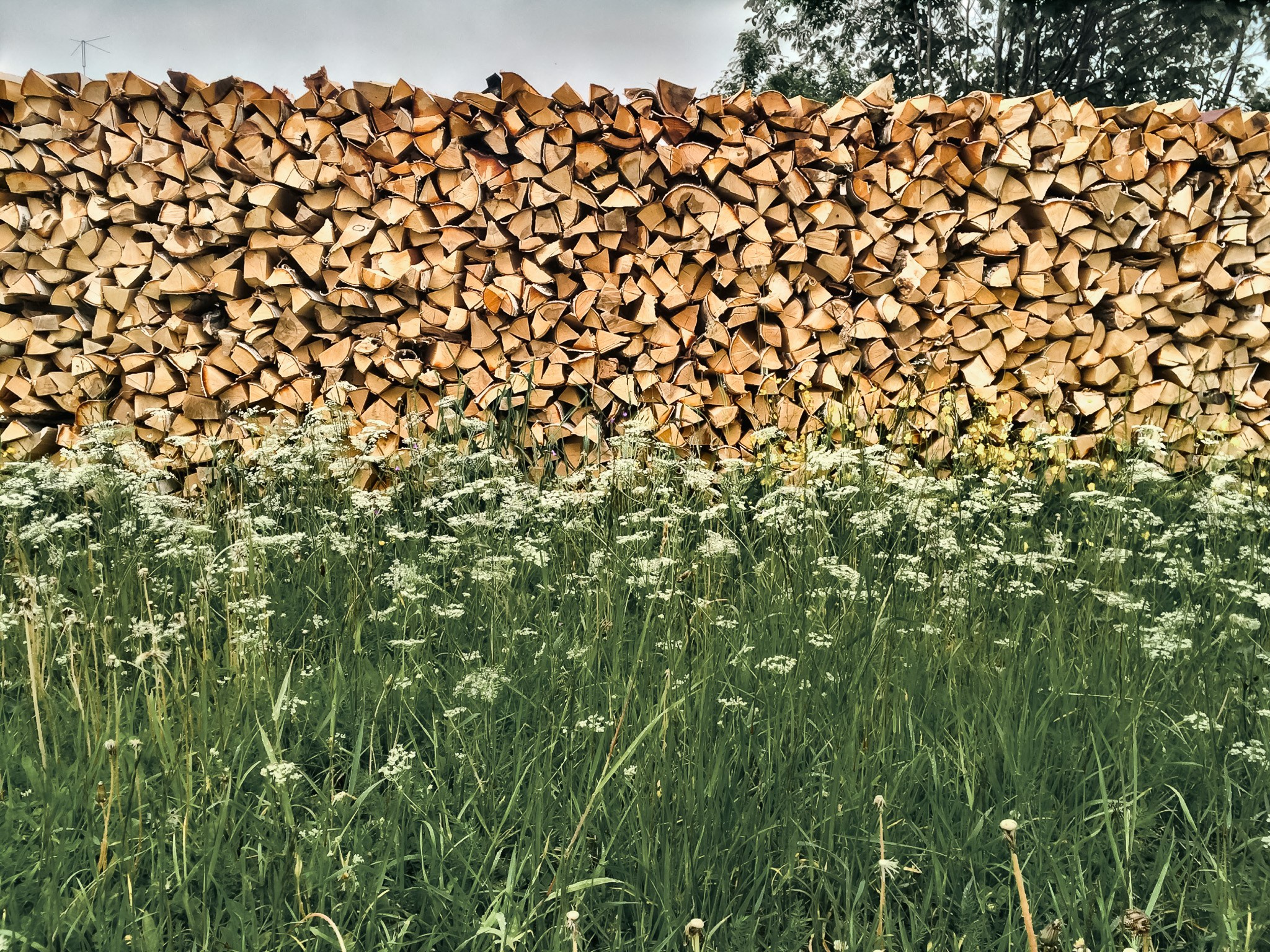 MOBILE PHOTO. UNRATED PHOTO