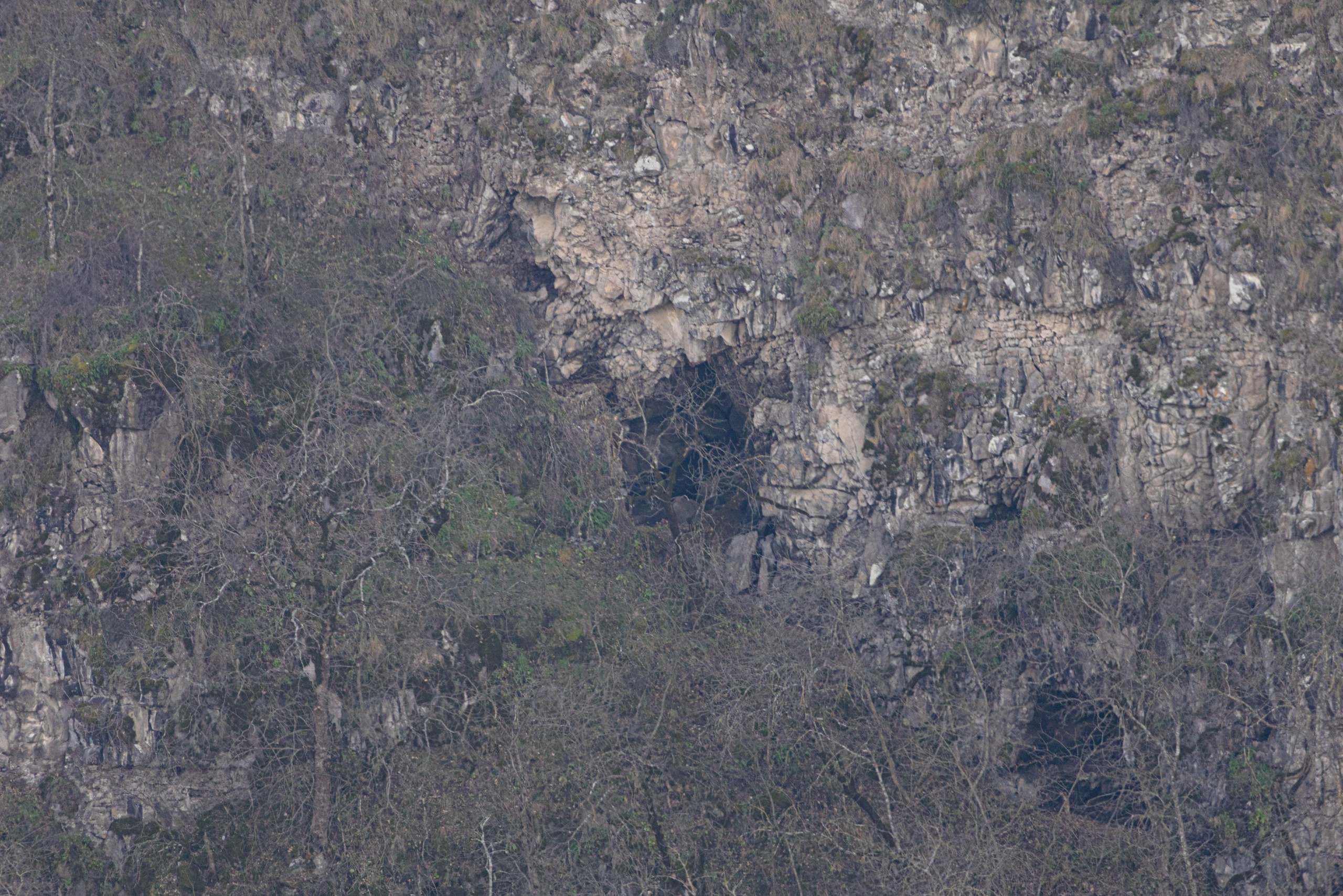 სამშვილდე. FramefreeMan