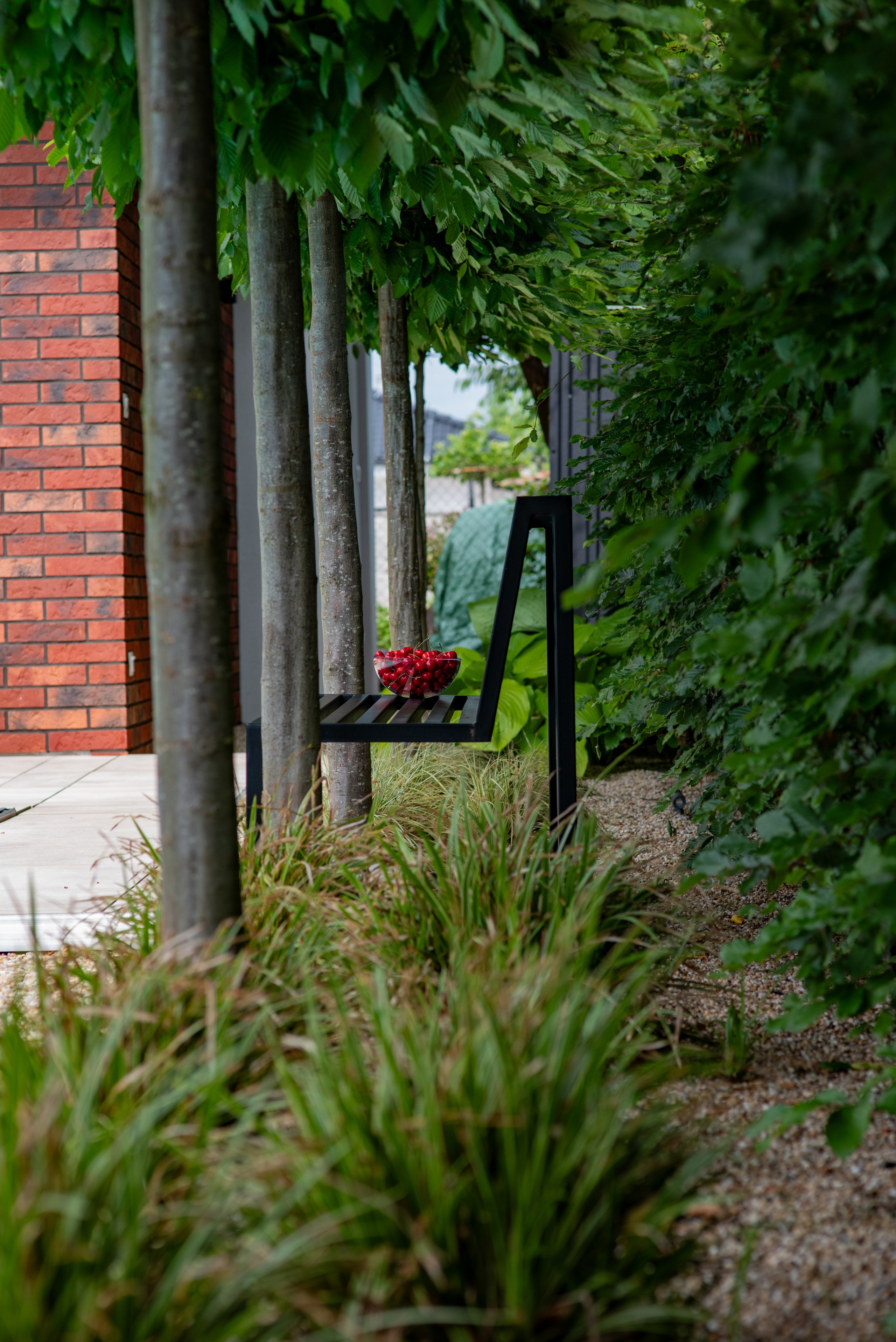 BEŽECKÁ 11. Photographer and videographer in Norway and Slovakia Andrea Zemko