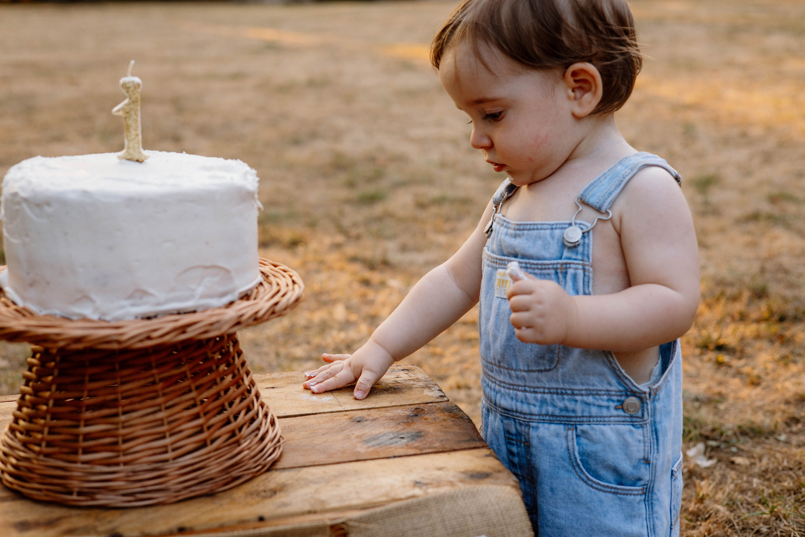 Smash Cake Photography. Family and Wedding Photographer