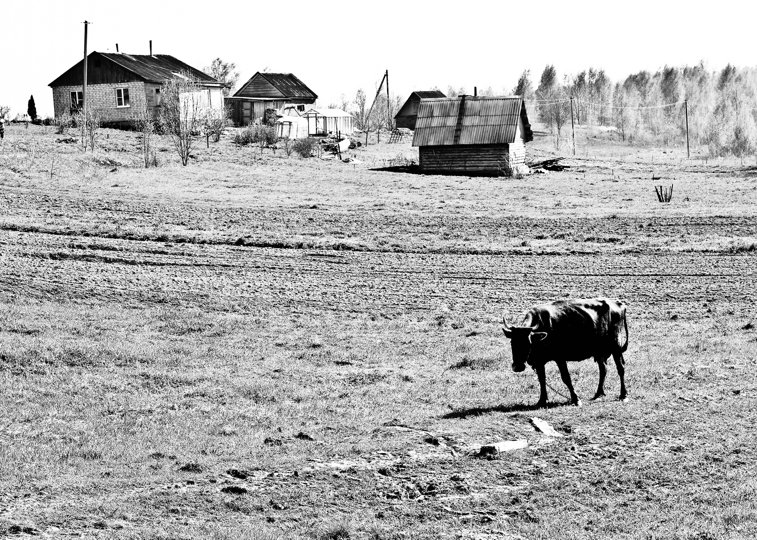 2012. Стрит-фотография, полная абсурда, идиотизма и красоты