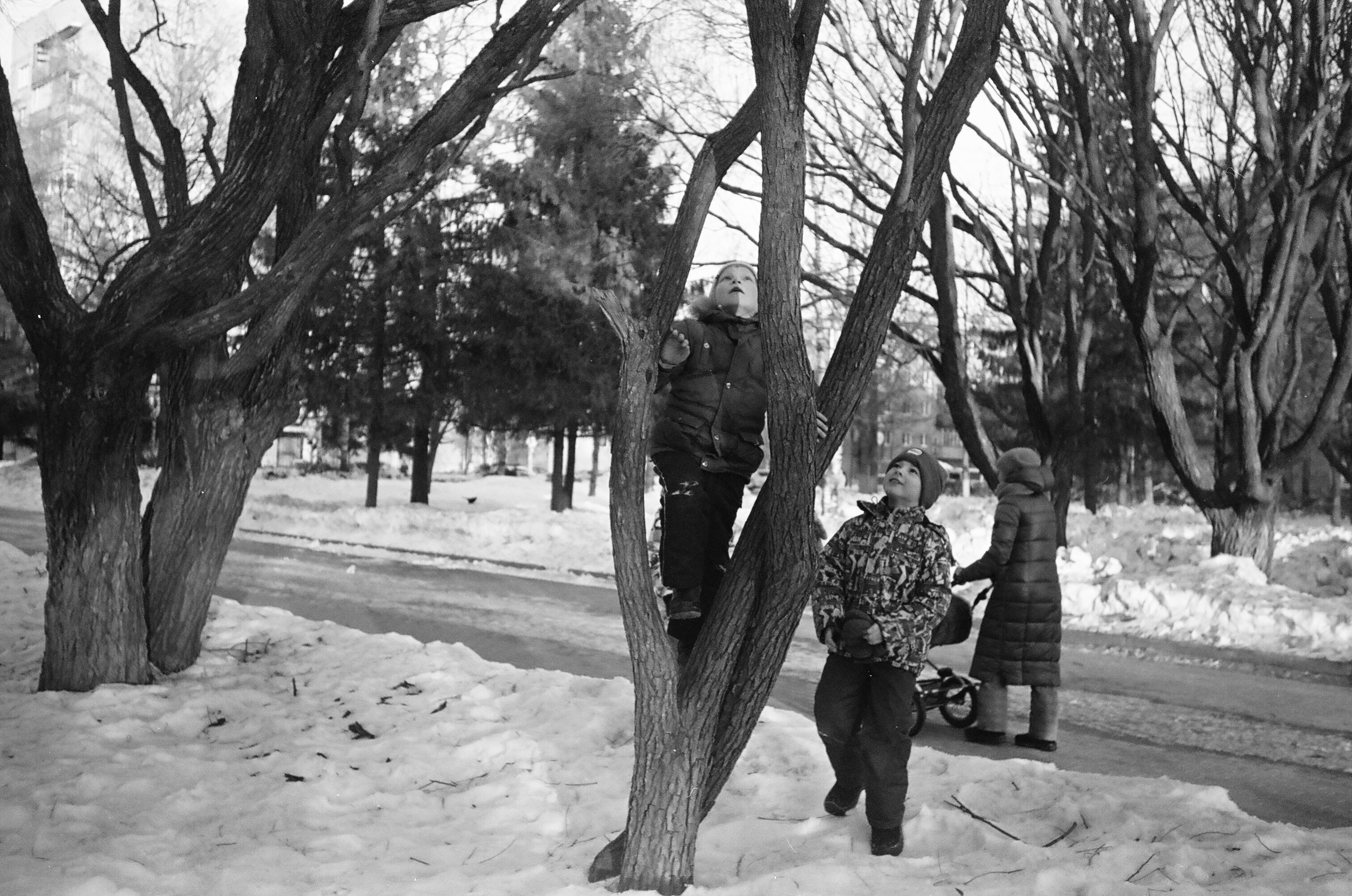 Вологда Архив. «Фотохроники»