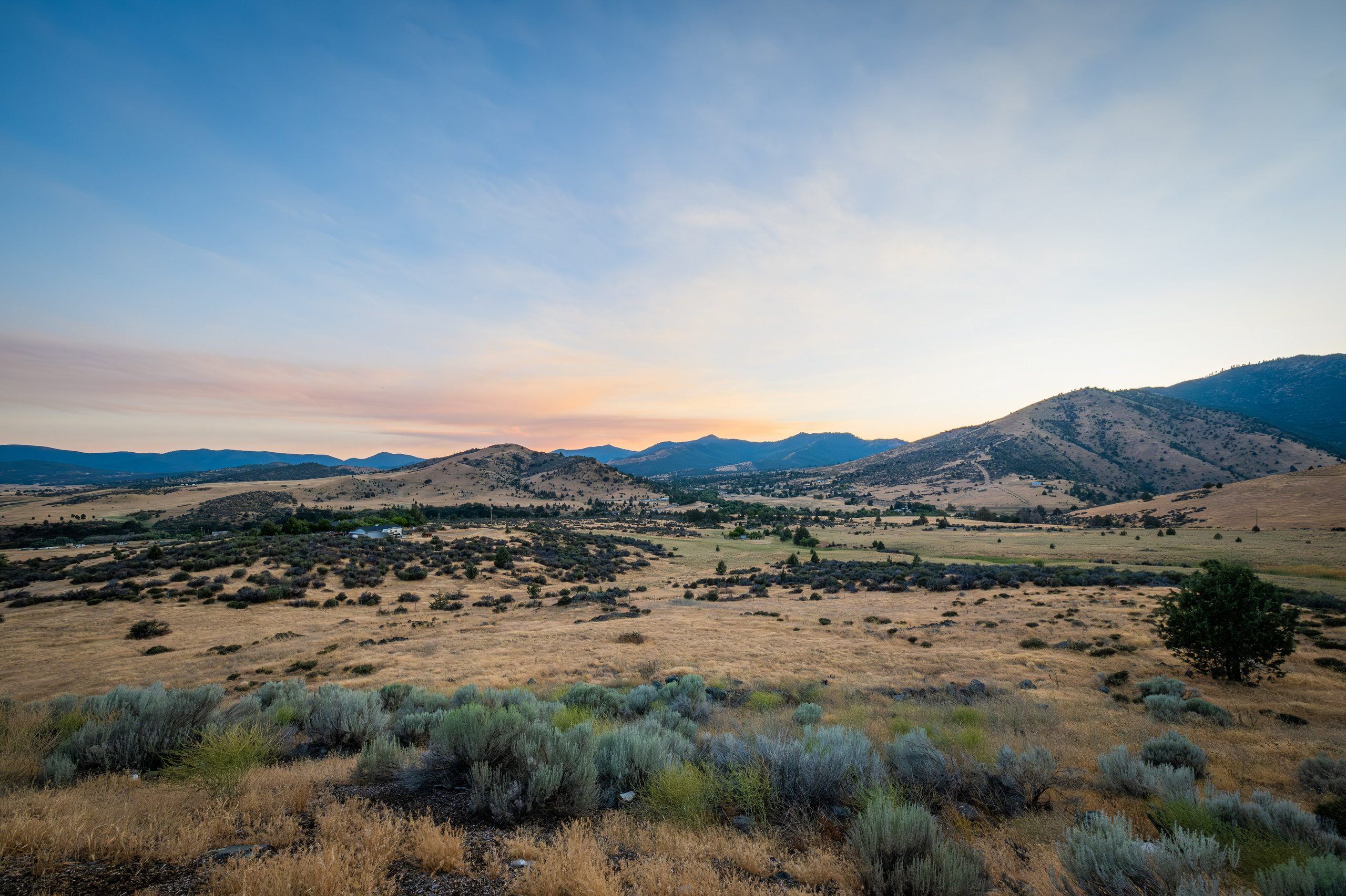 WASHINGTON / SEATTLE. Reportage concert portrait photography in the San Francisco Bay Area