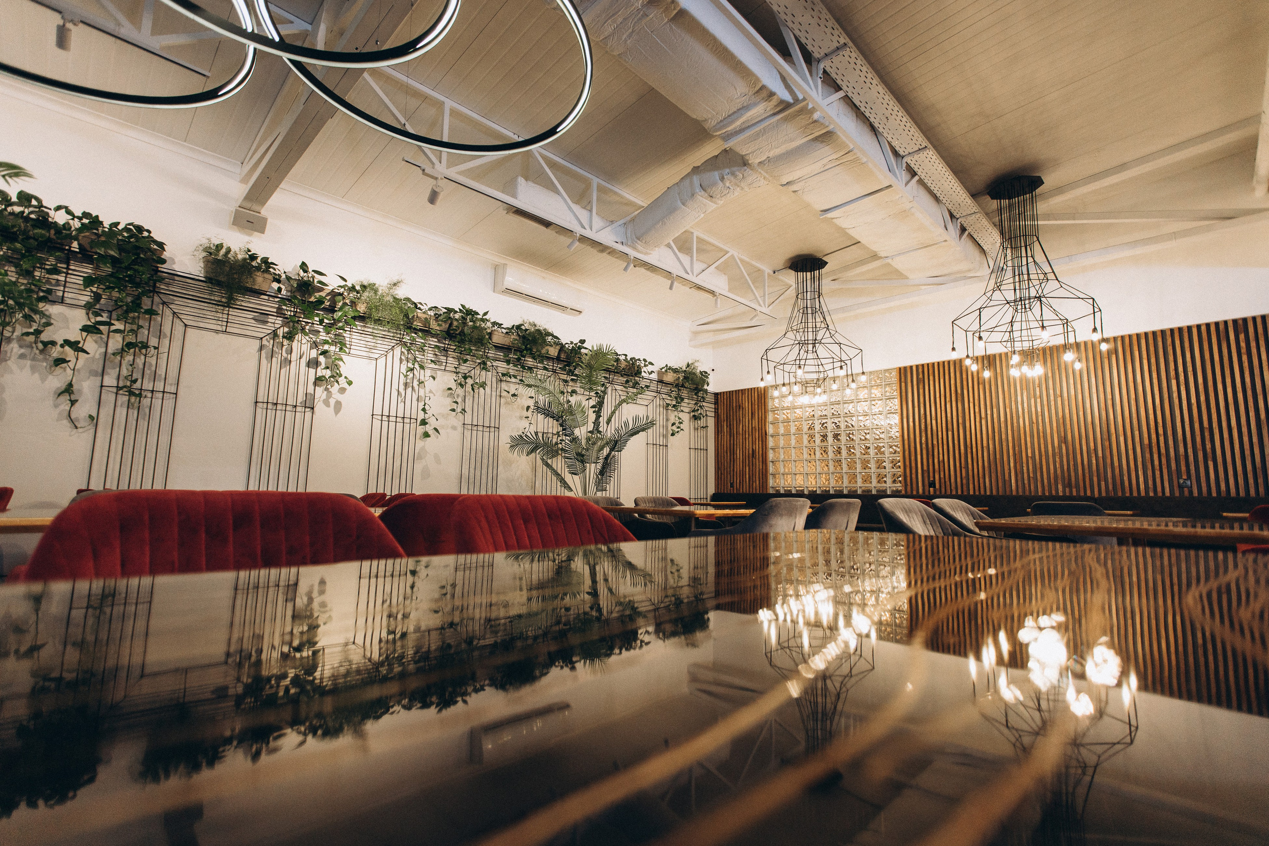 Мережа ресторанів Classic. Ірина Терещук