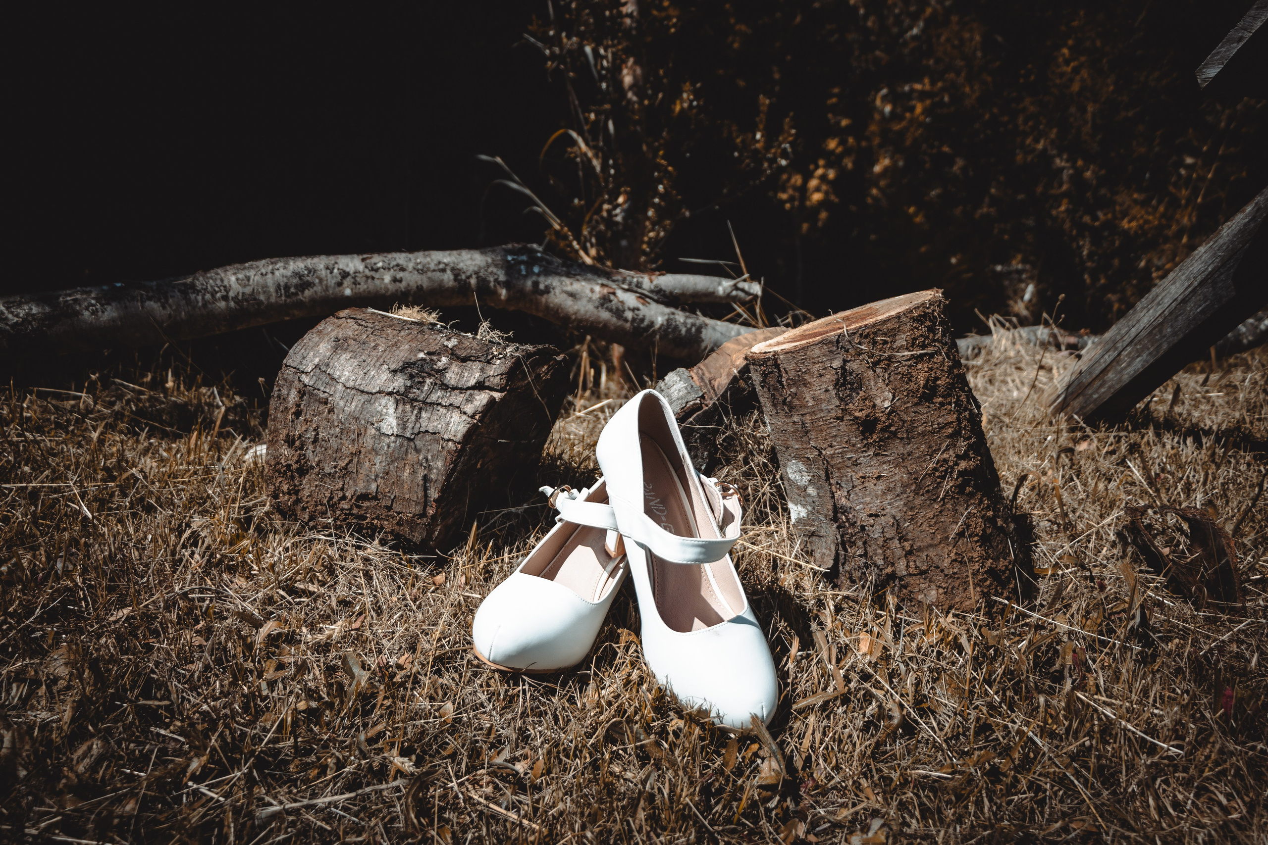 Denisse y Alejandro. Dinka & Emilio — Fotografia e Vídeo