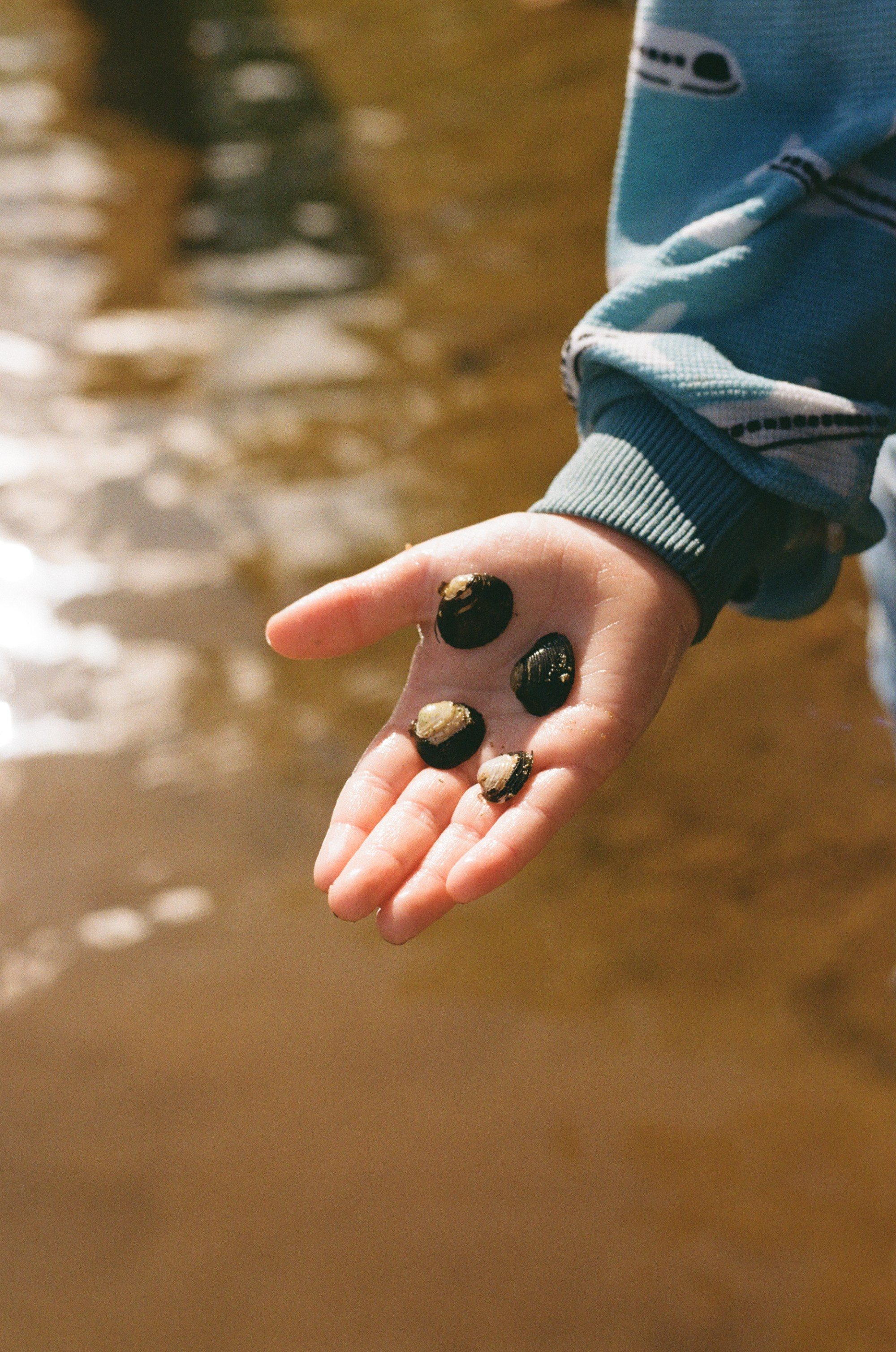 Kids collecting river shells and playing in the mud during an adventurous outdoor family photography session in Richmond, VA