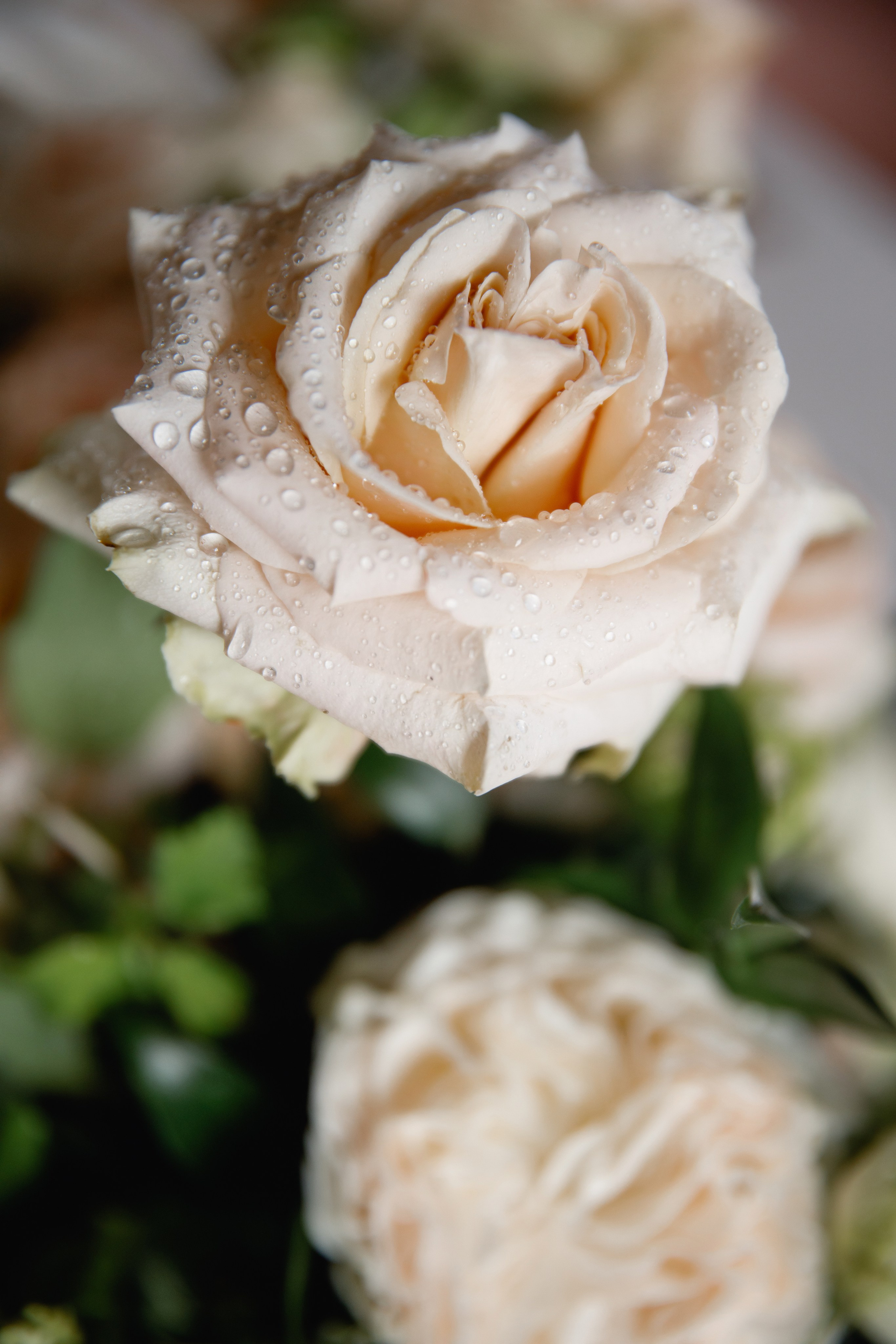 Wedding Photographer Italy, Tuscany, Como, Amalfy, Puglia, Sicily. Wedding Photographer Rome Tuscany Como Sicily Puglia Amalfy Italy- Oksana Savenchuk