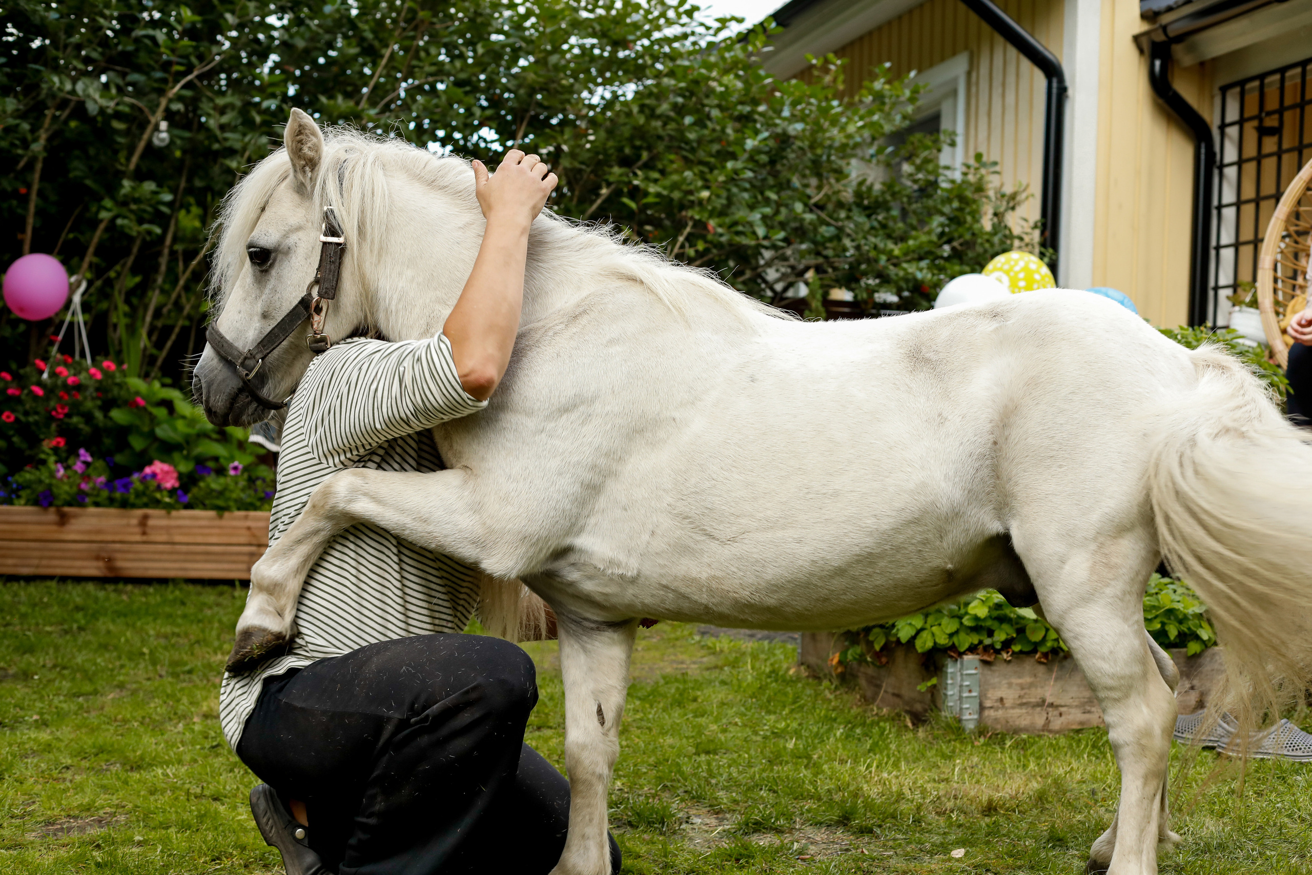 5 vuotta (kotona). Ekaterina Mansur, muotokuvafotografi Suomessa (Helsingissä ja Uudellam