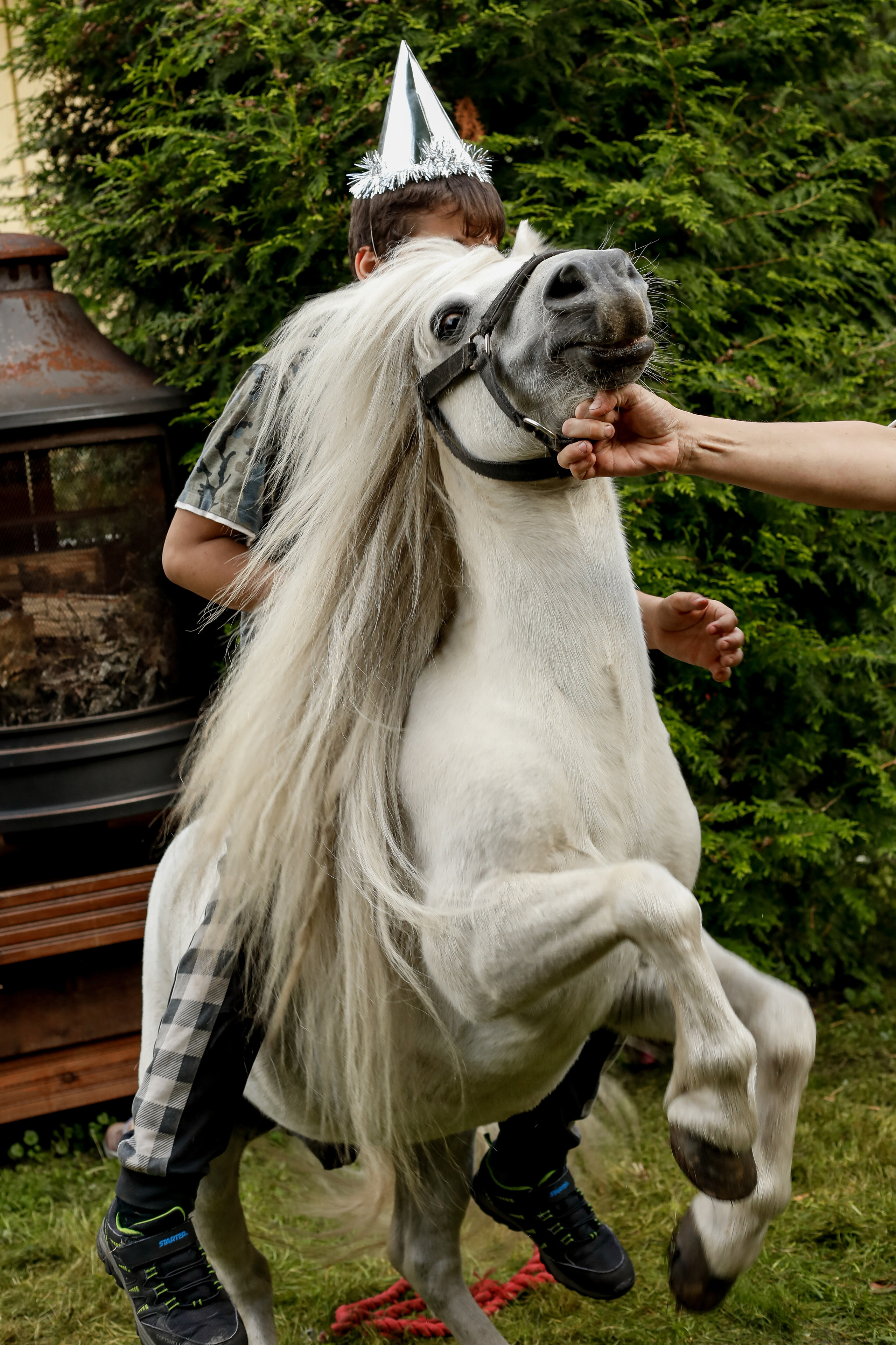 5 vuotta (kotona). Ekaterina Mansur, muotokuvafotografi Suomessa (Helsingissä ja Uudellam